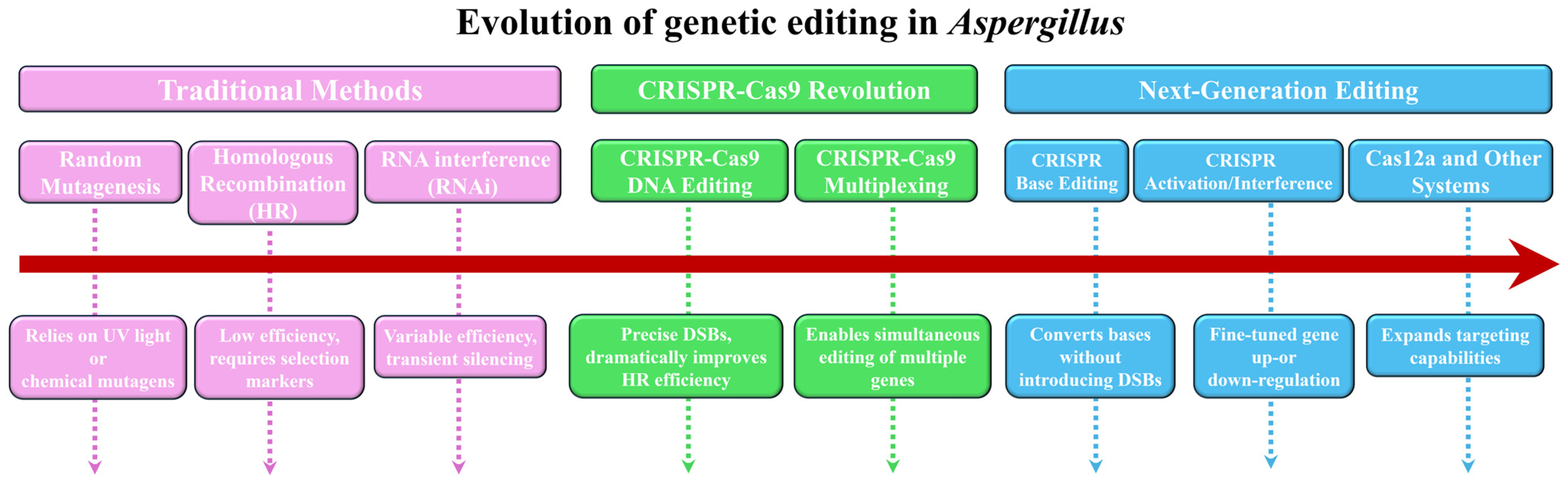 Biology 15 00053 g002