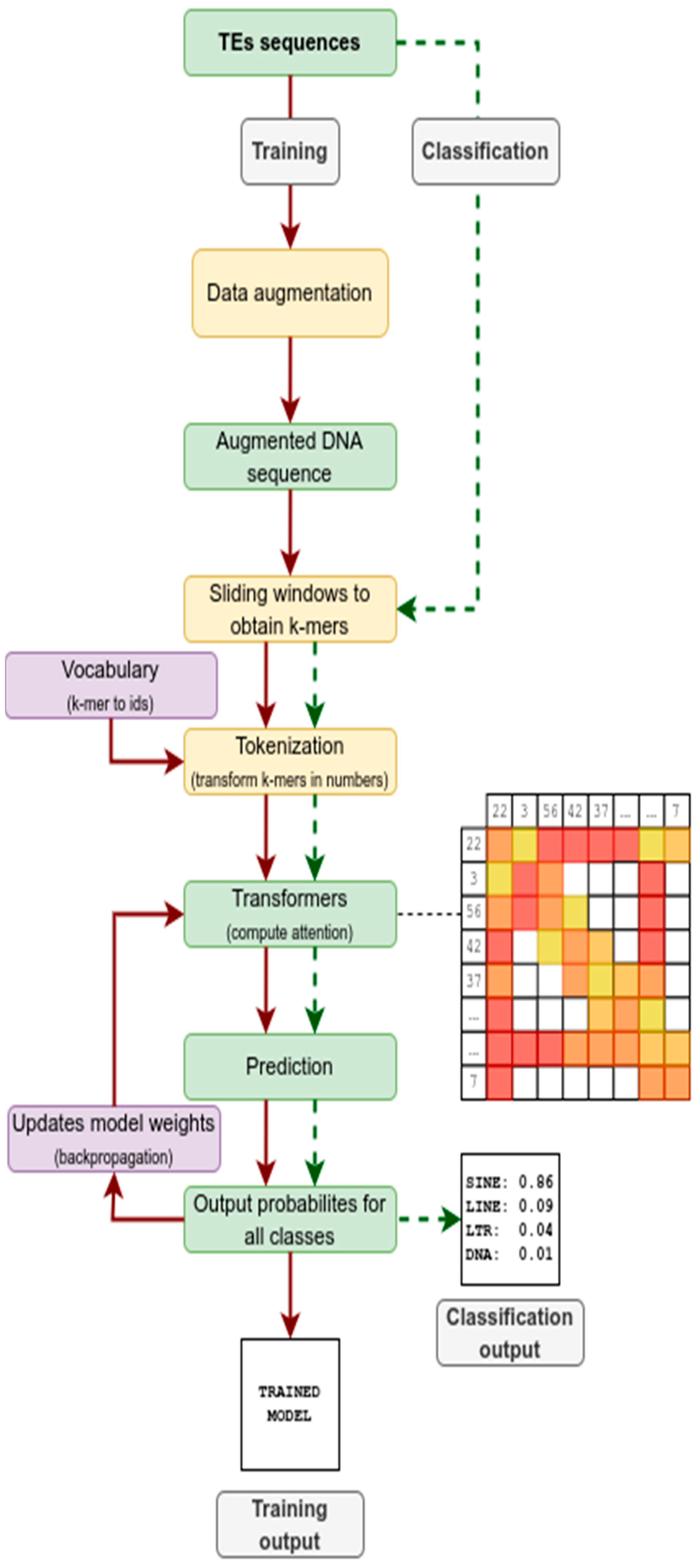 Biology 15 00059 g001