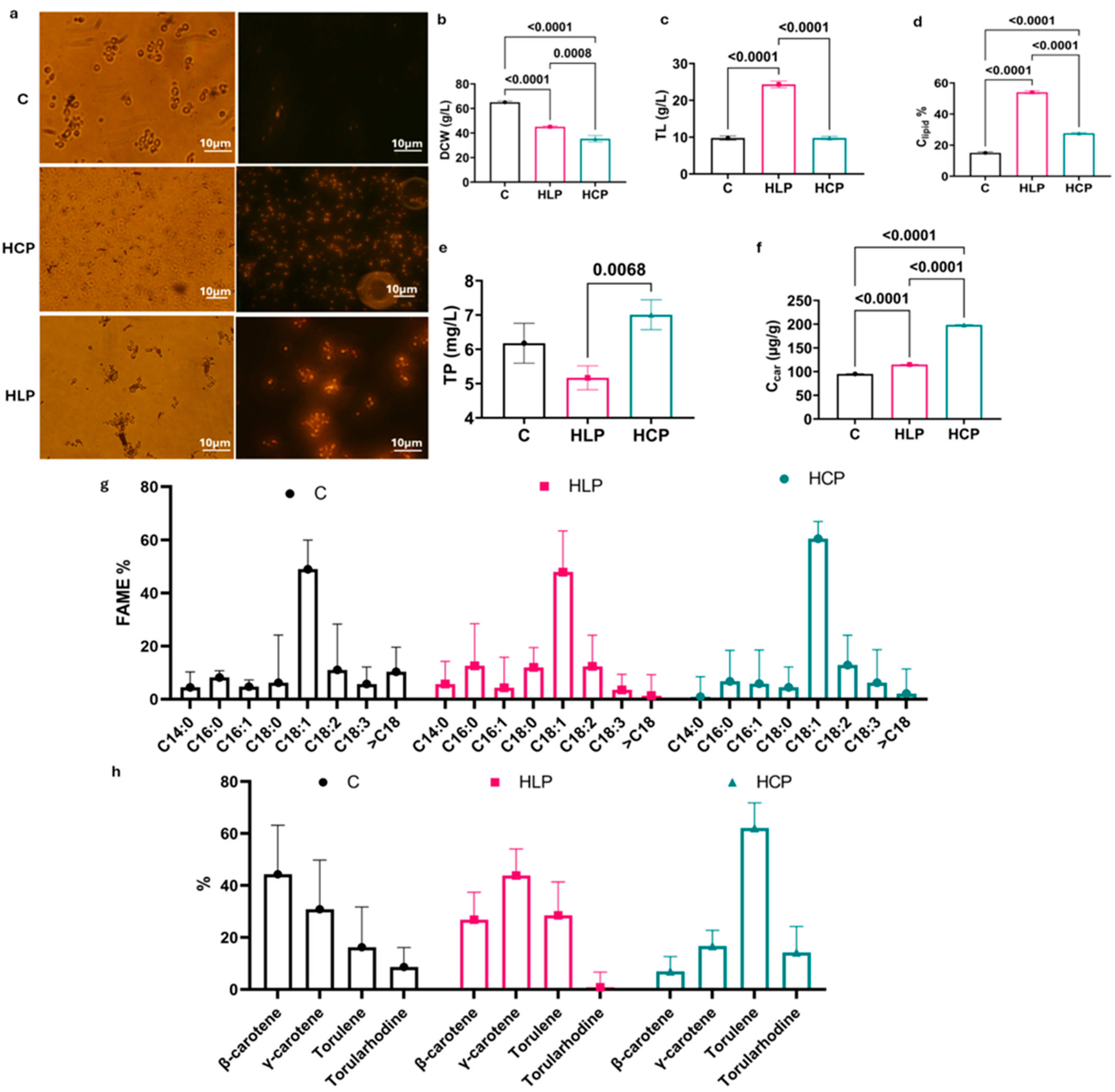 Biology 15 00060 g001