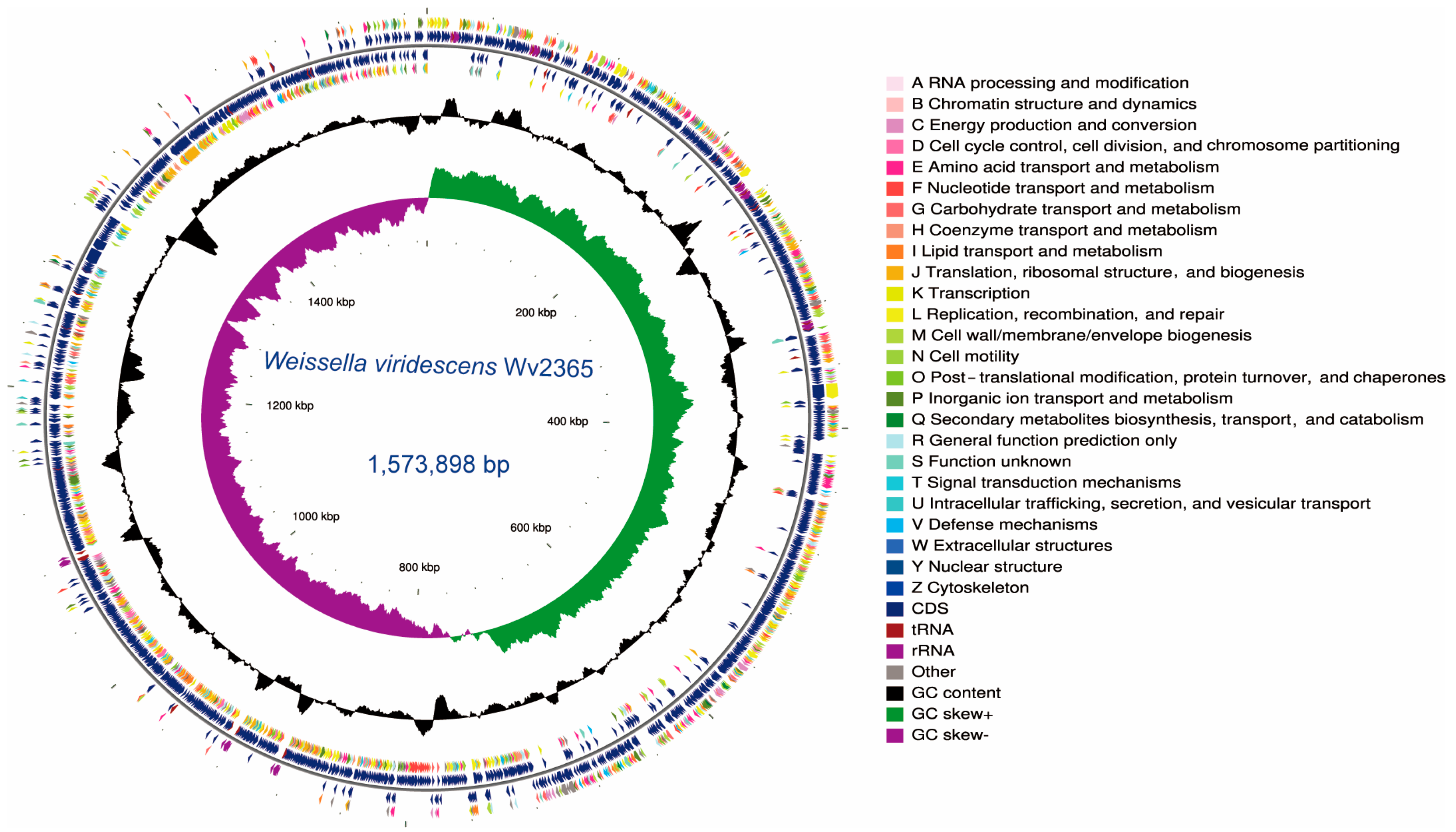 Biology 15 00063 g001