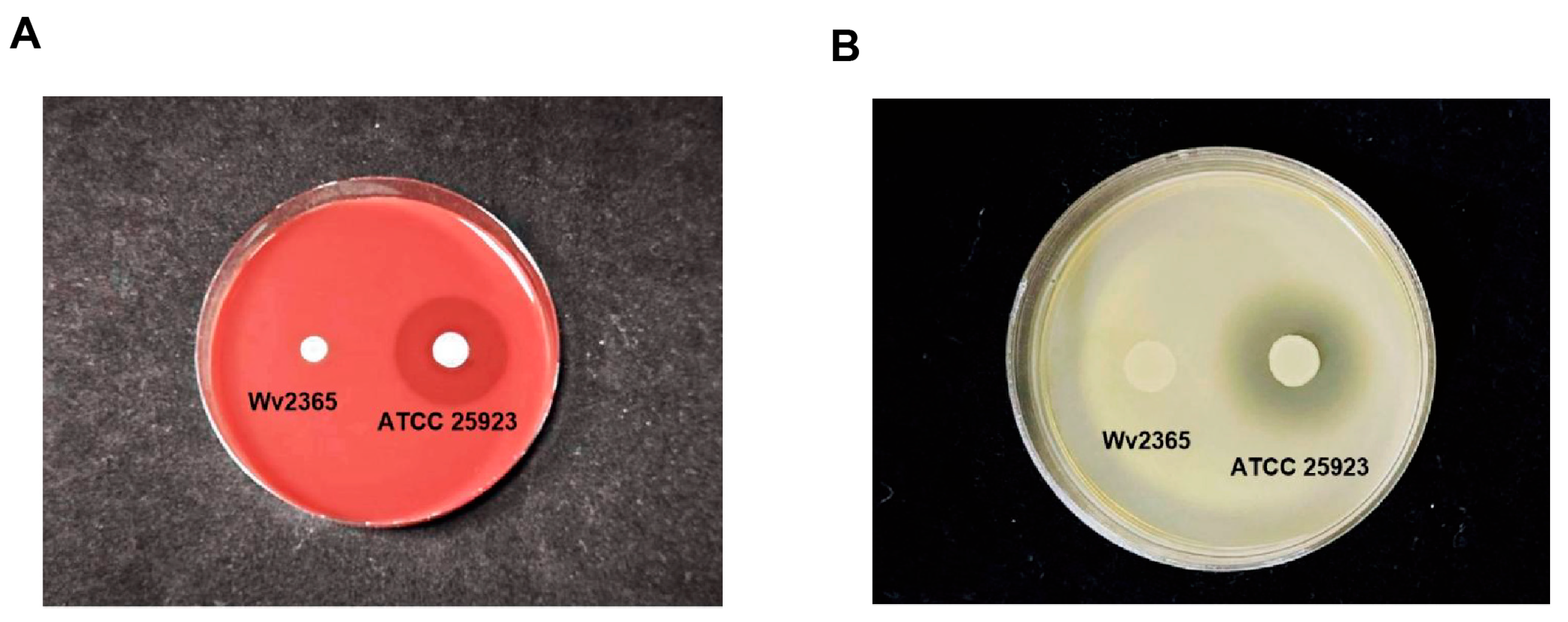 Biology 15 00063 g007