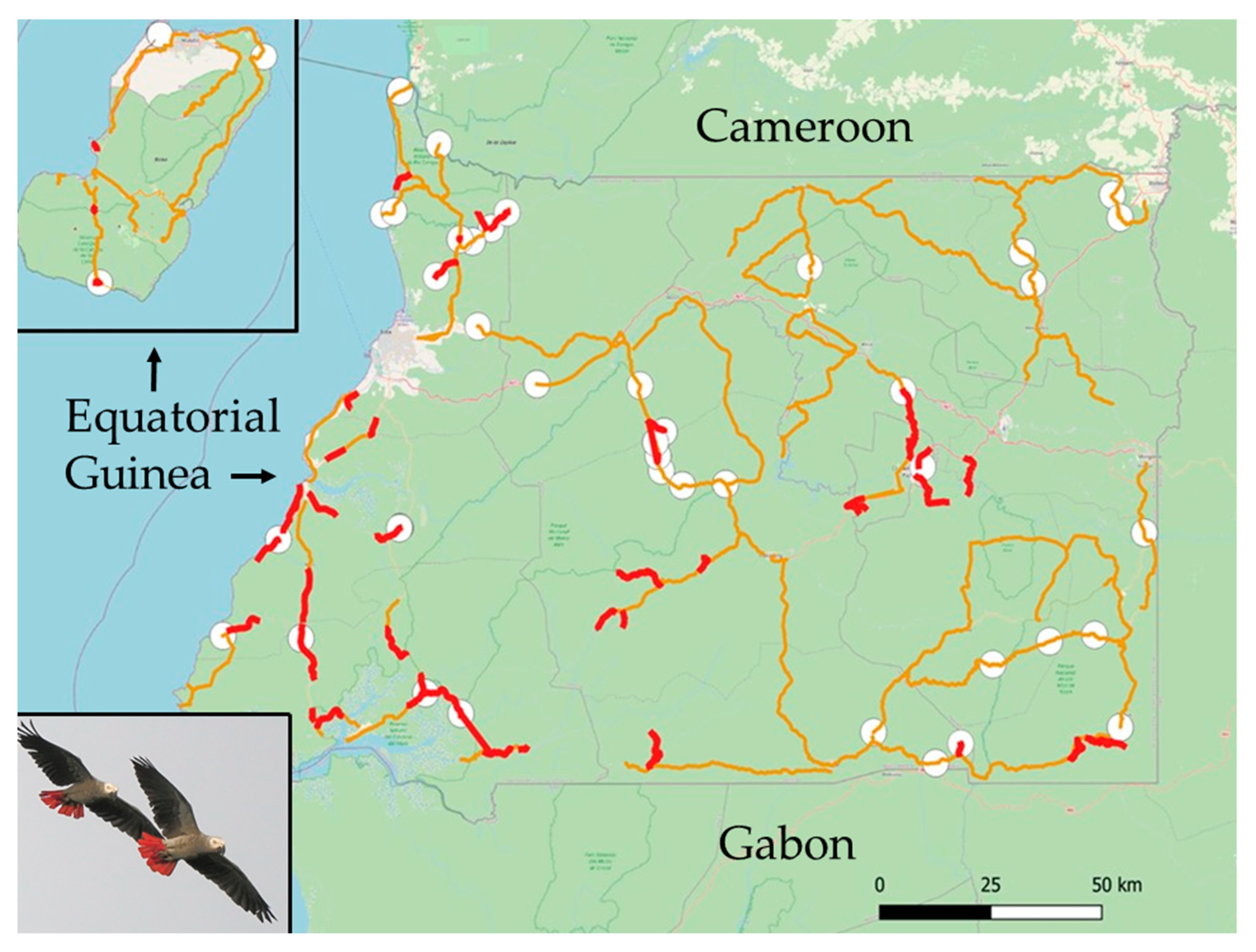 Biology 15 00073 g001