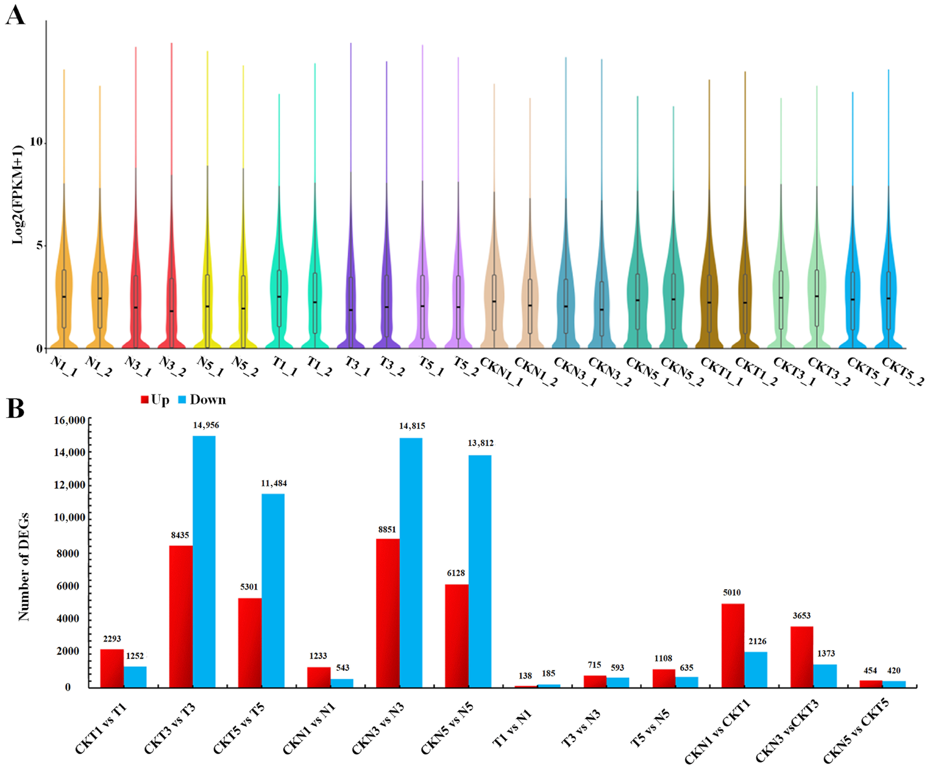Biology 15 00074 g001