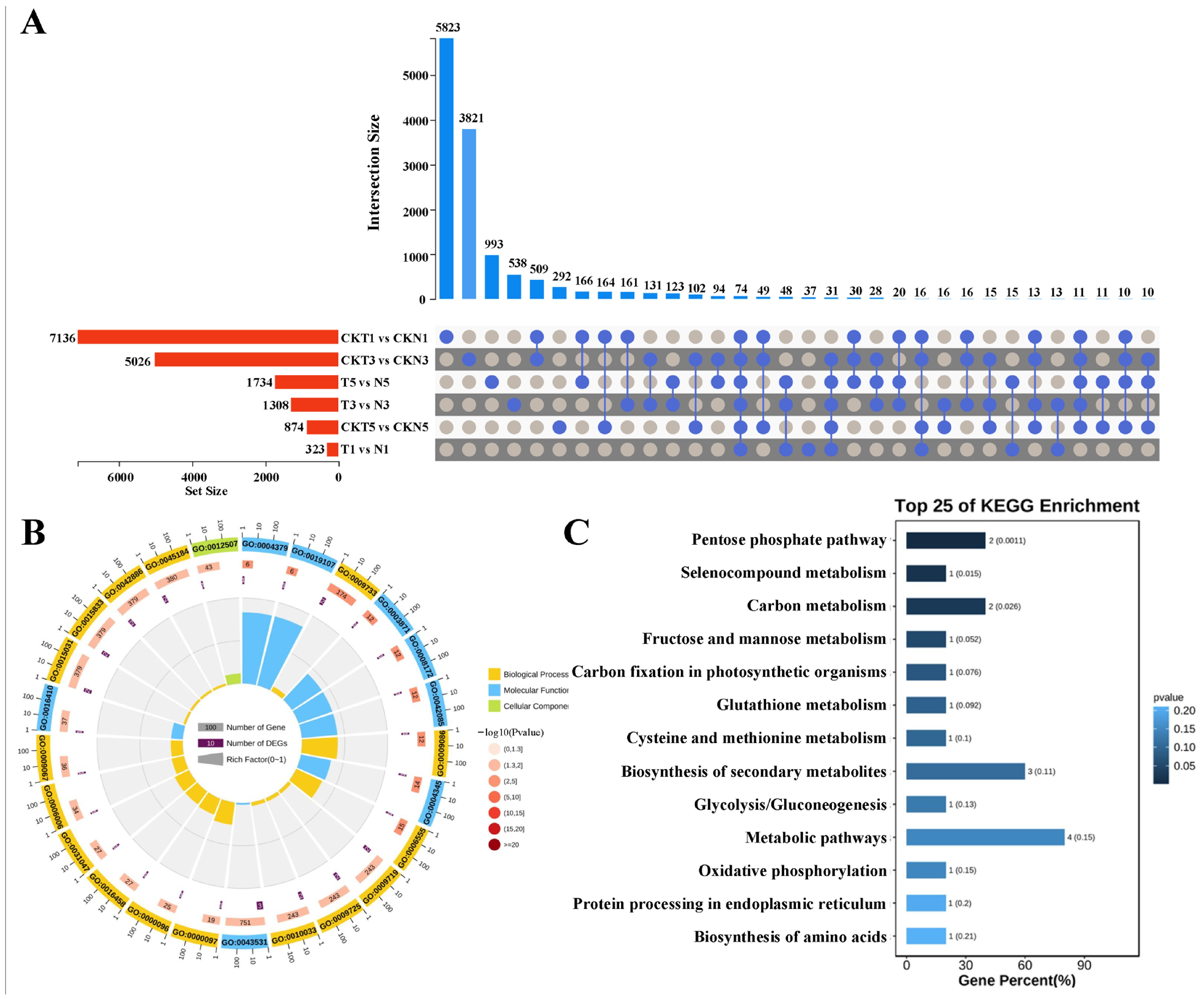 Biology 15 00074 g003