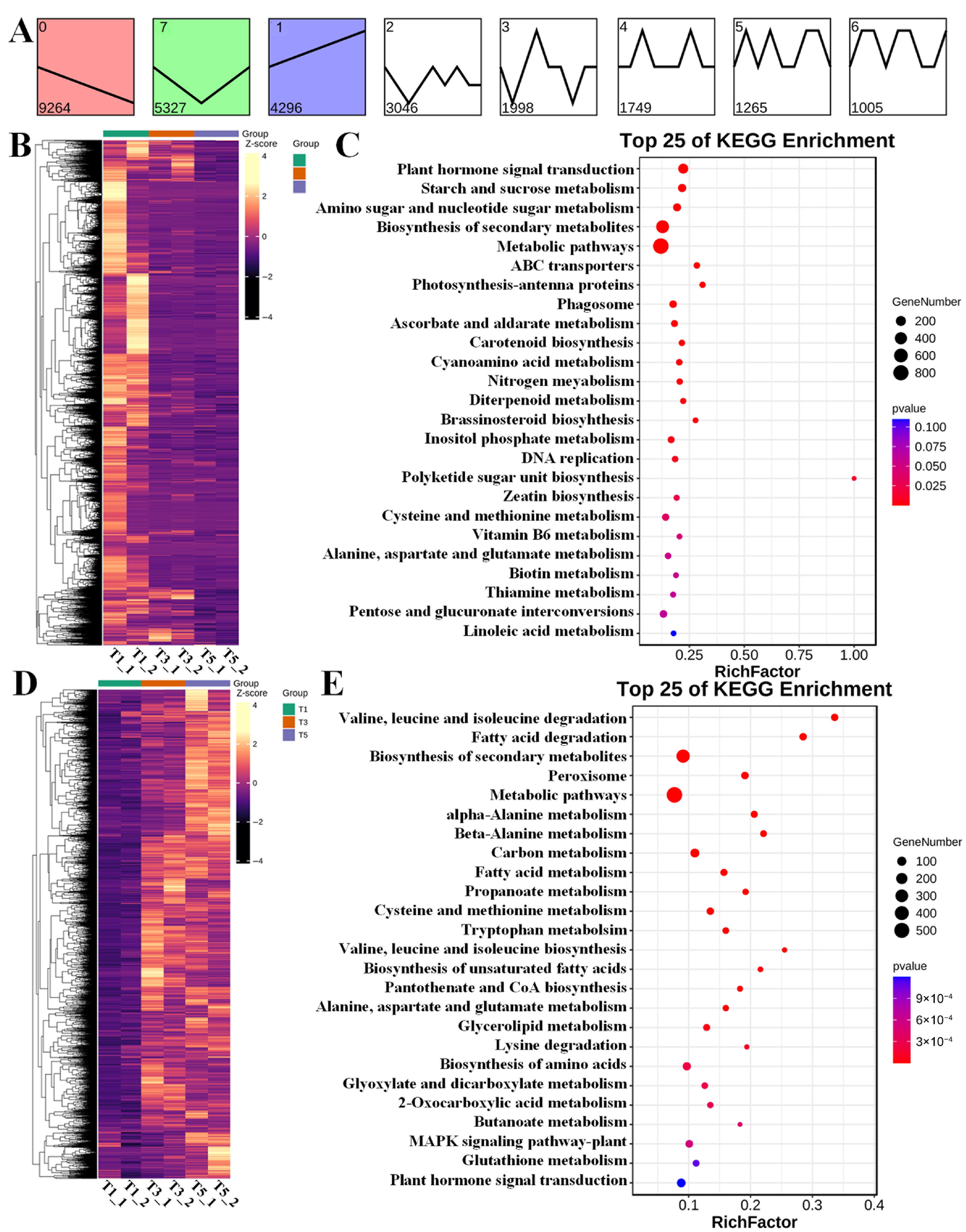Biology 15 00074 g004