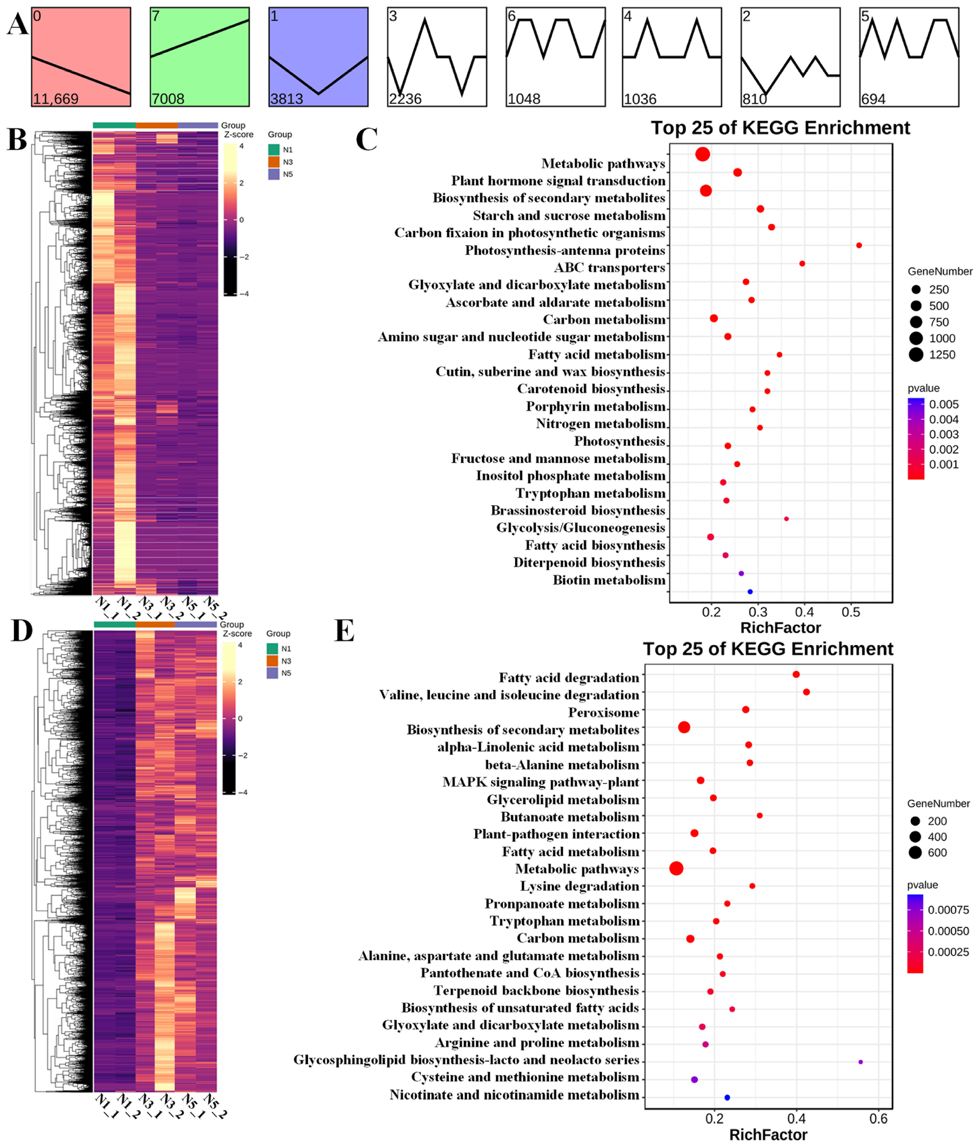 Biology 15 00074 g005