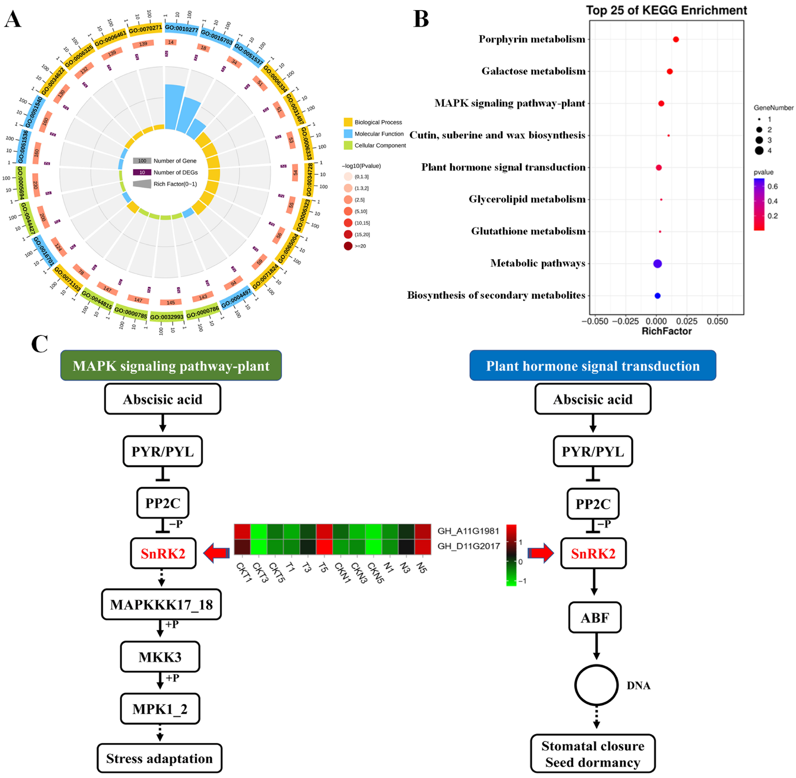 Biology 15 00074 g007