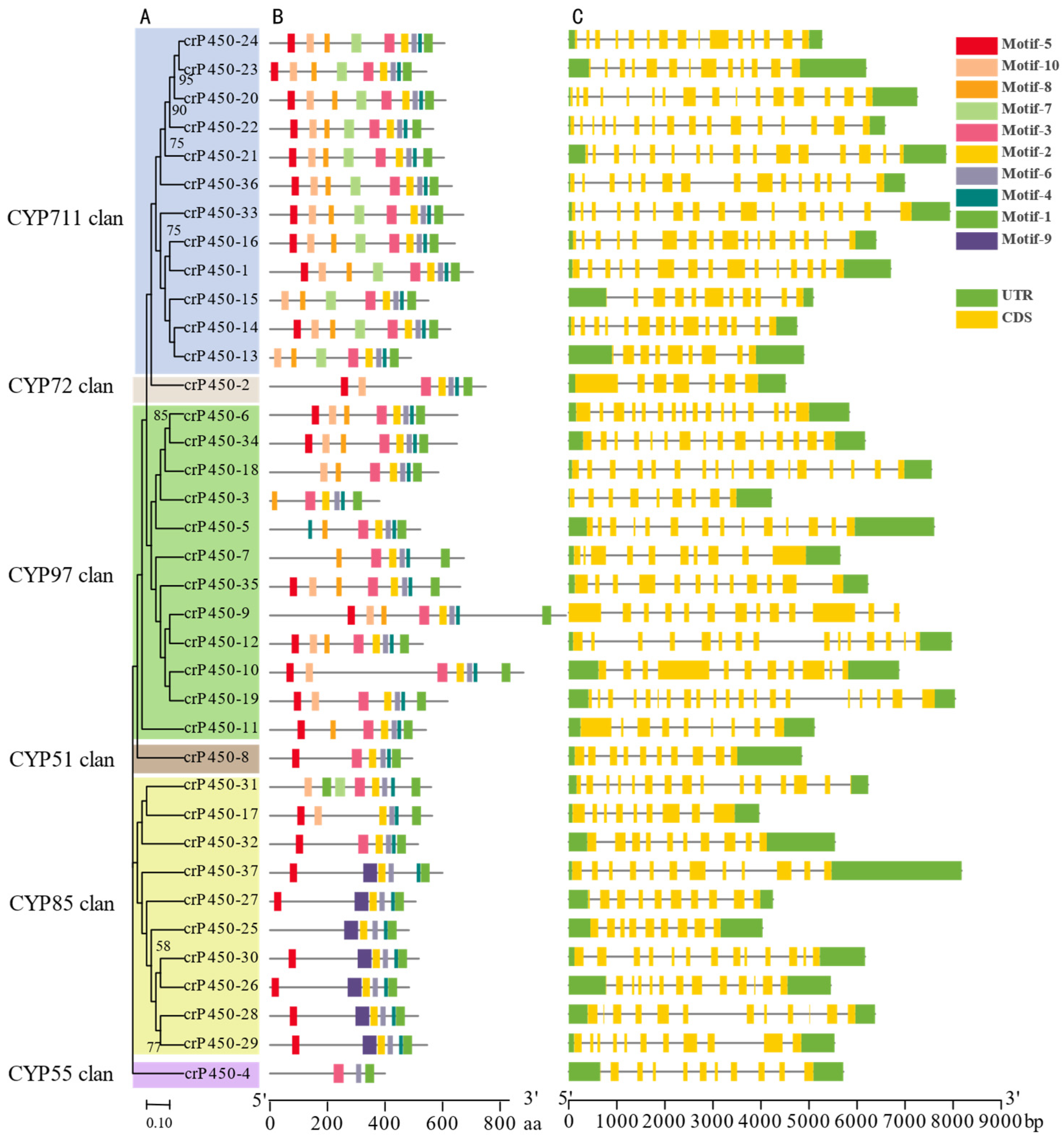 Biology 15 00077 g002