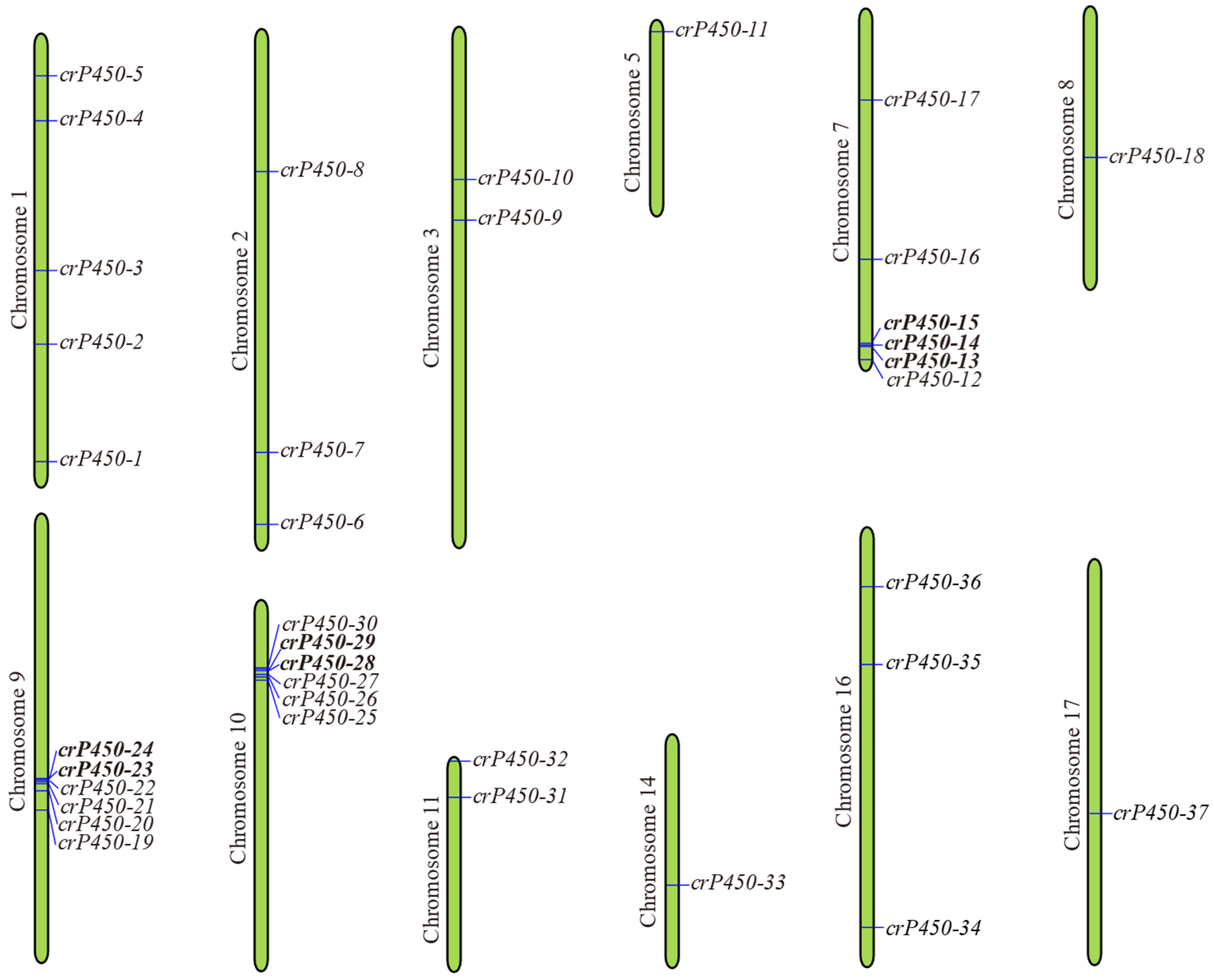 Biology 15 00077 g003