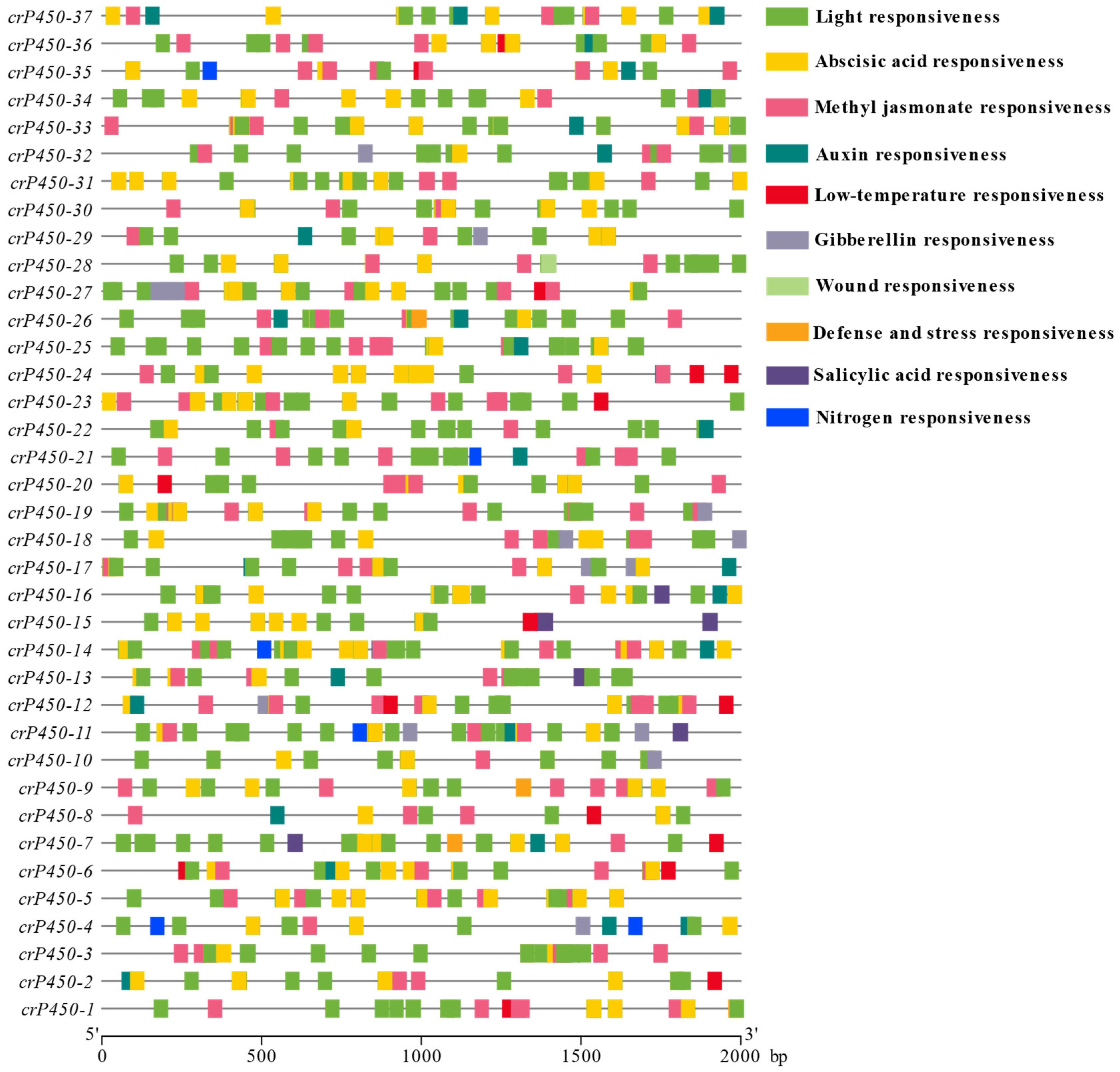 Biology 15 00077 g004