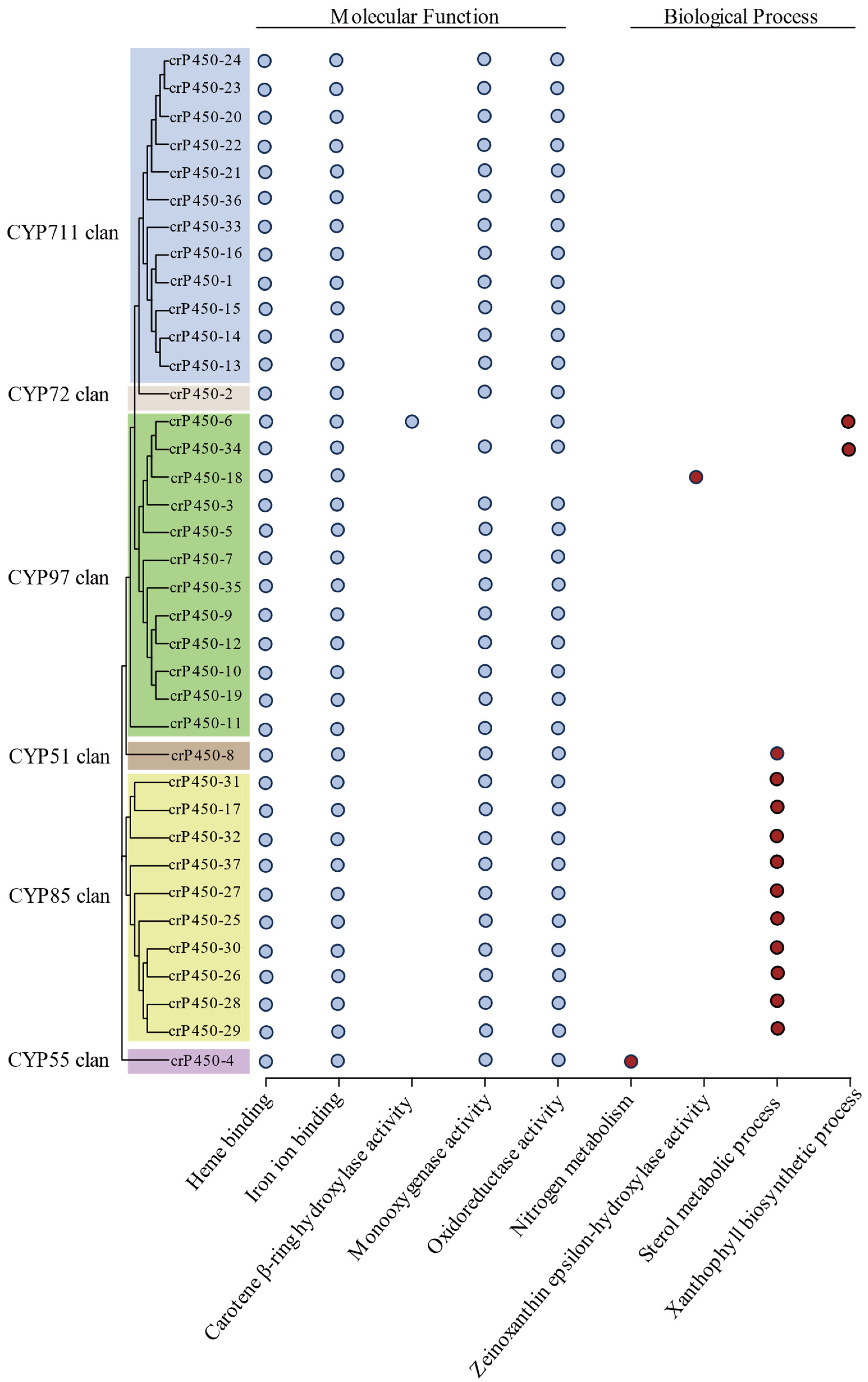 Biology 15 00077 g005