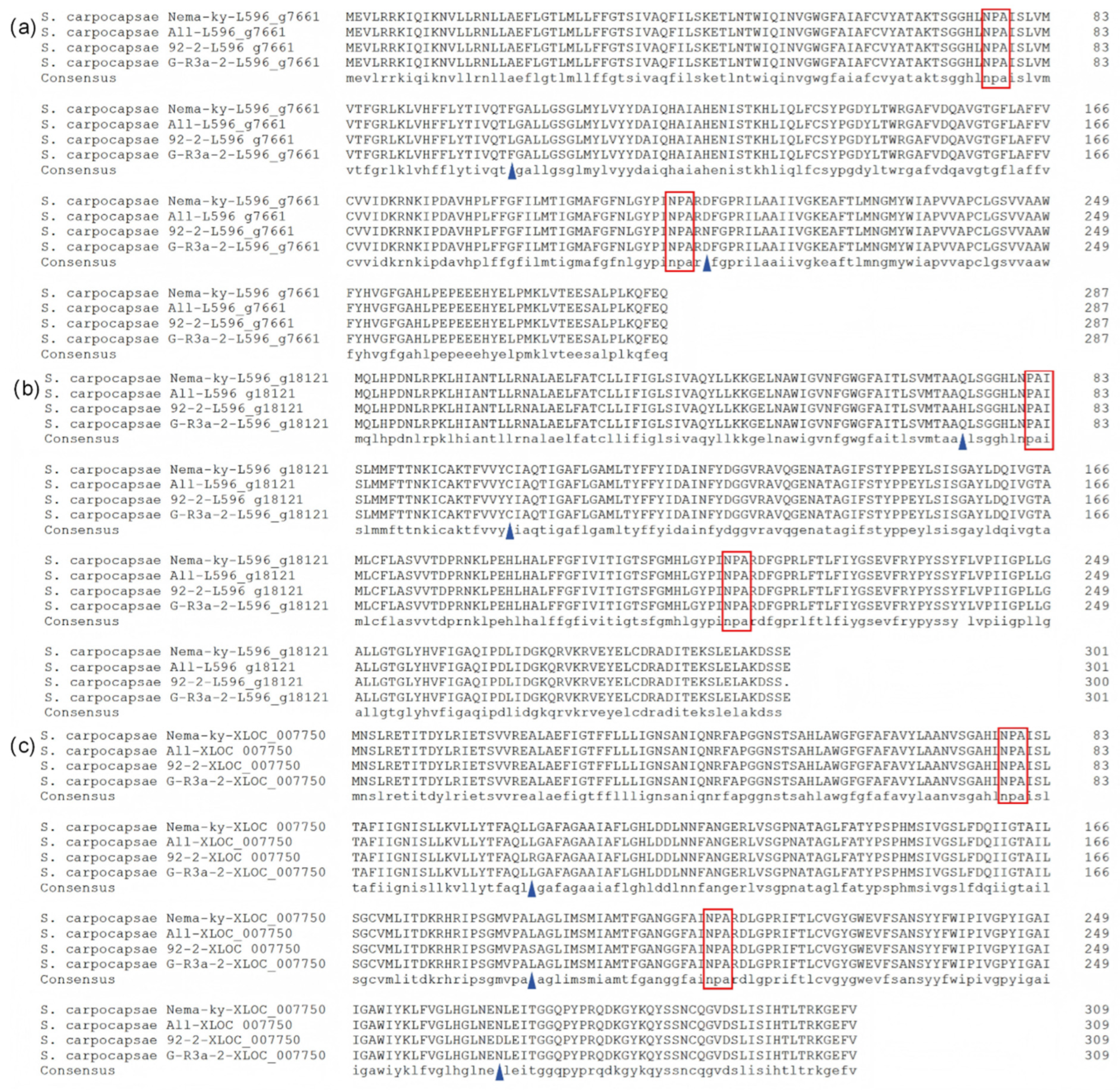 Biology 15 00078 g001