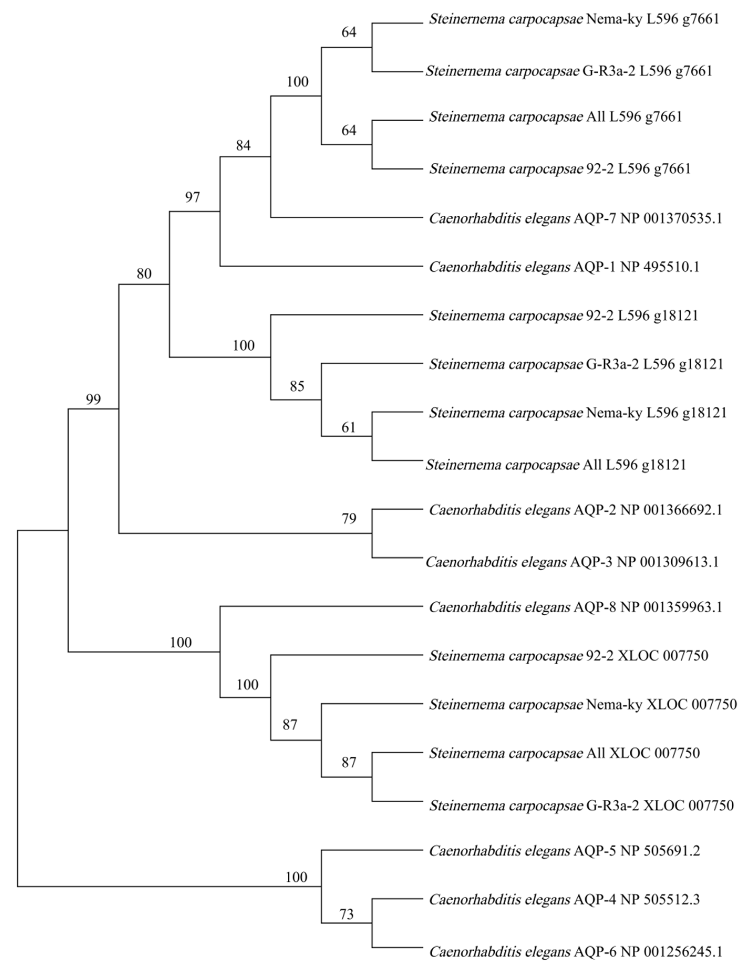 Biology 15 00078 g002