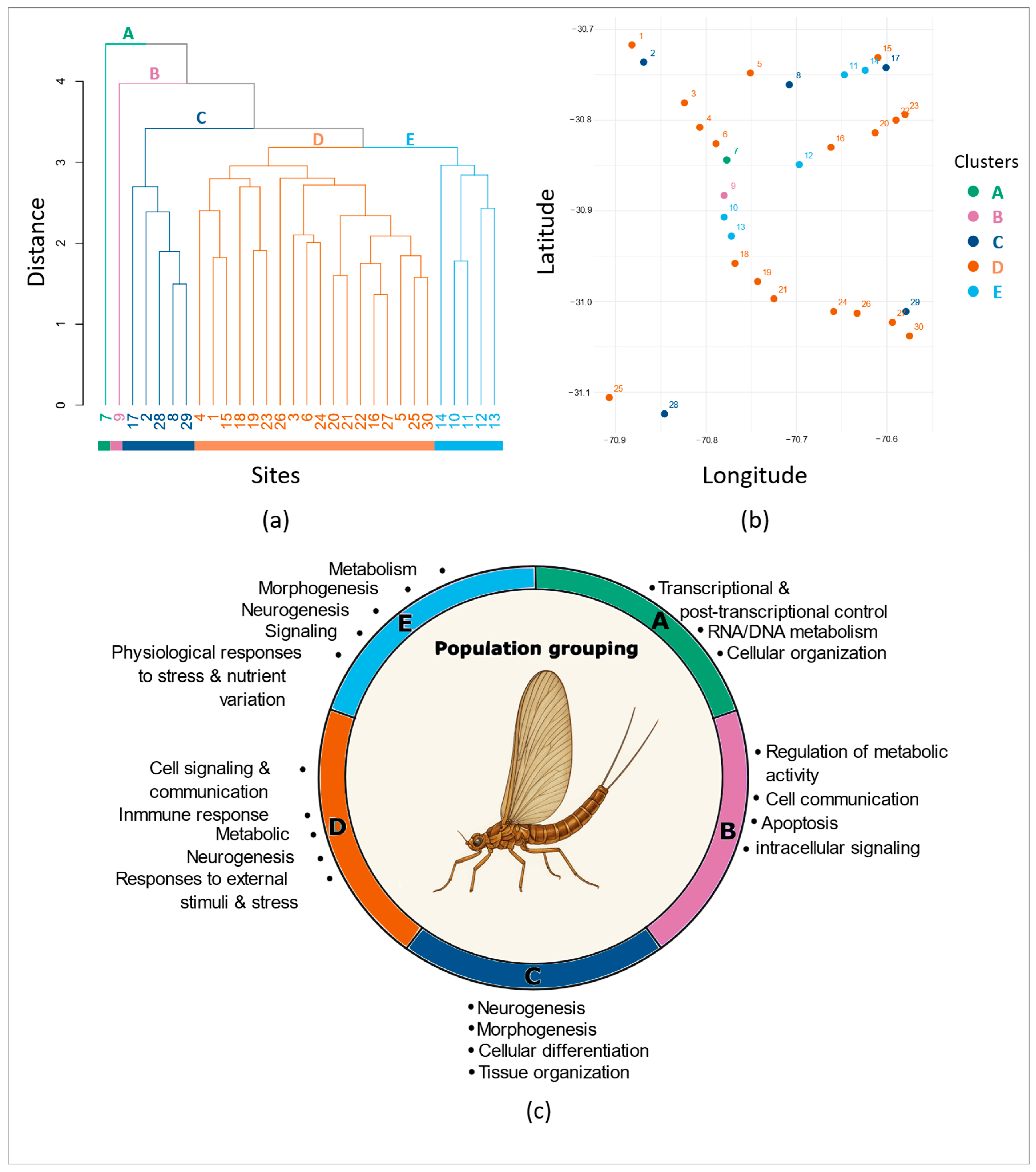 Biology 15 00090 g002 Biology 15 00090 g002