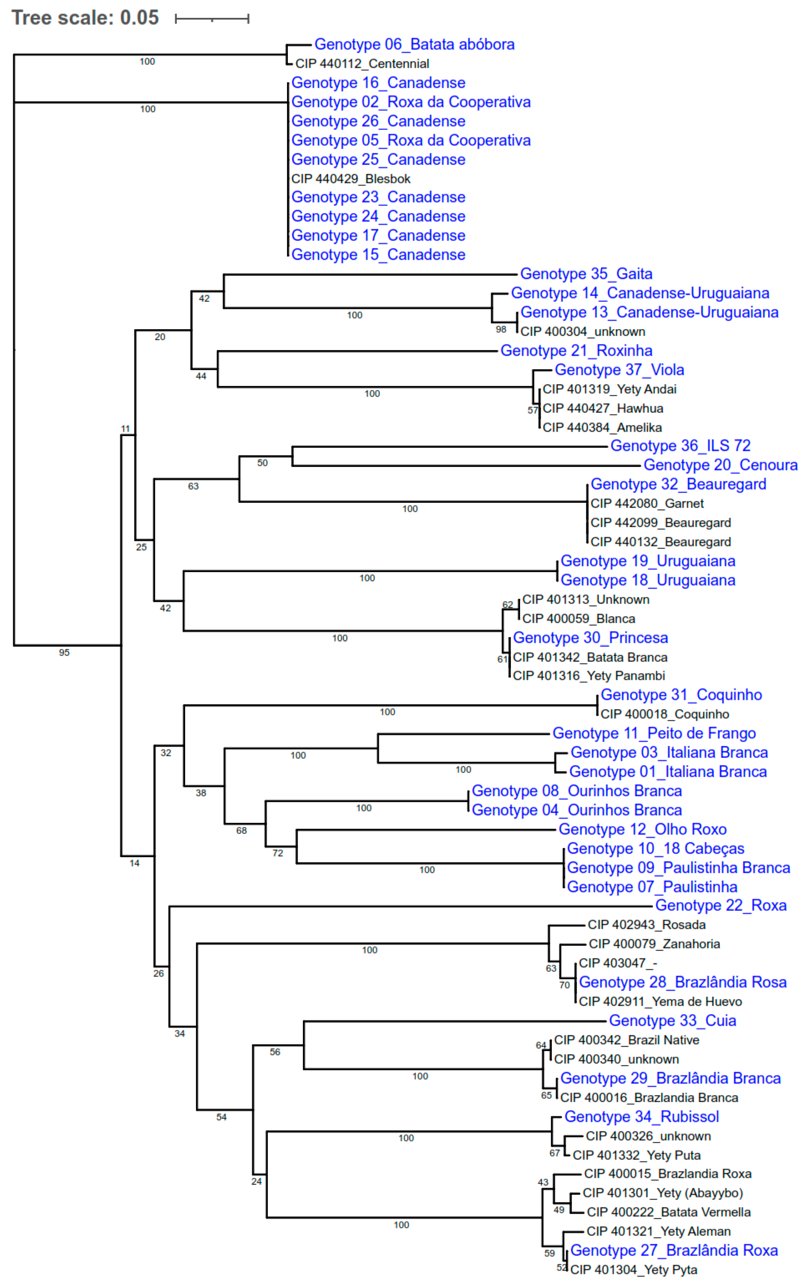 Biology 15 00091 g004 Biology 15 00091 g004