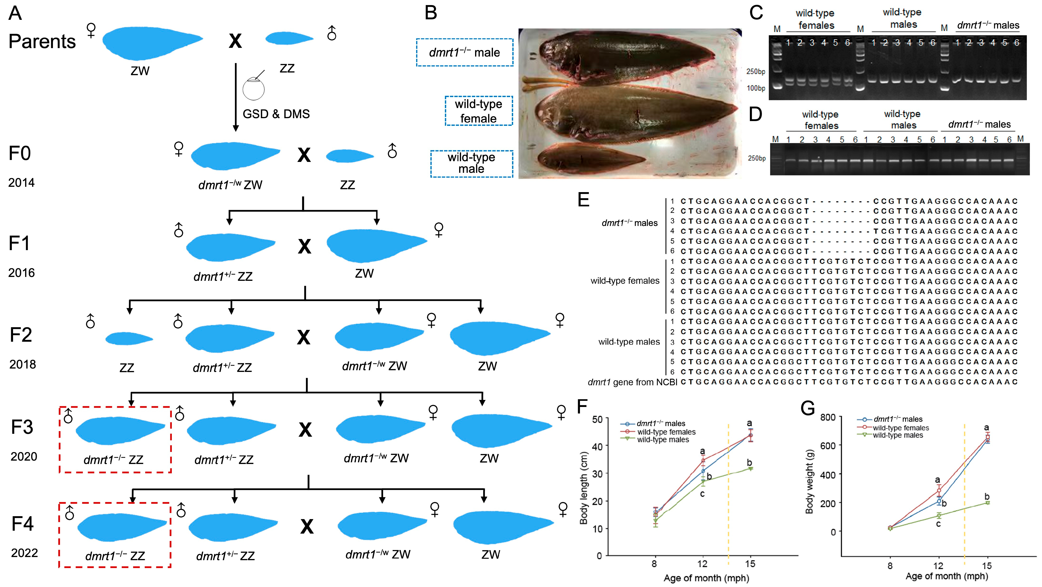 Biology 15 00093 g001