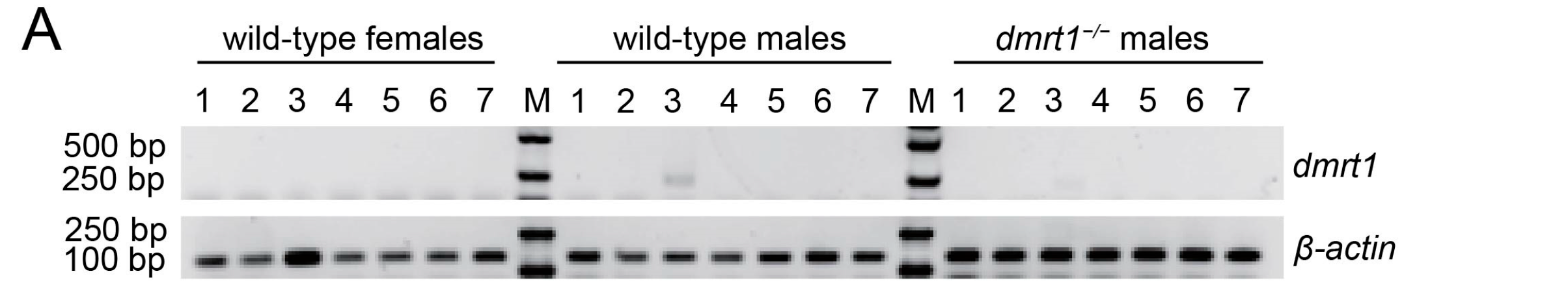 Biology 15 00093 g002a