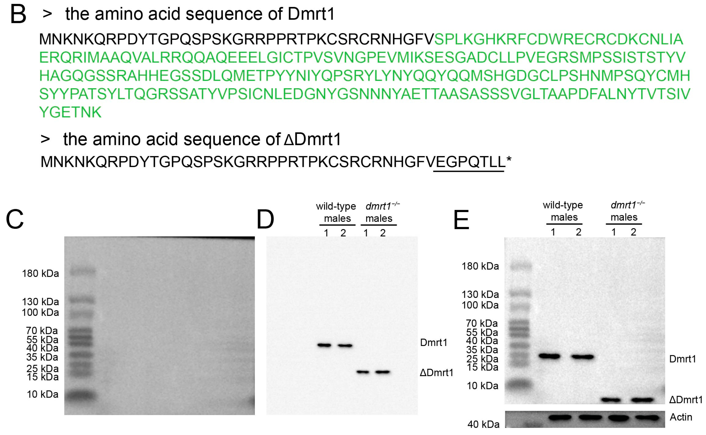Biology 15 00093 g002b