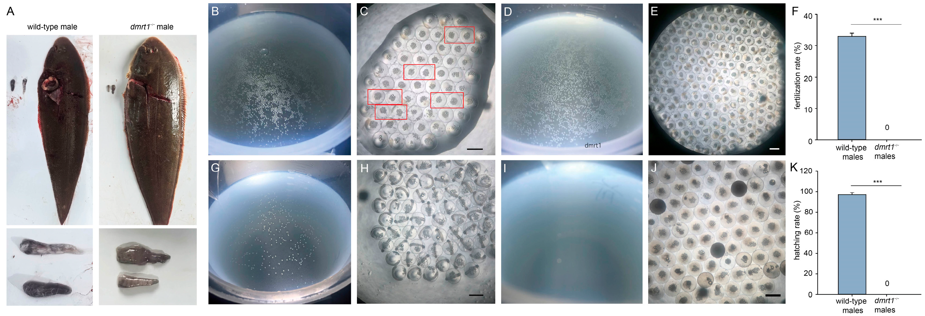Biology 15 00093 g003