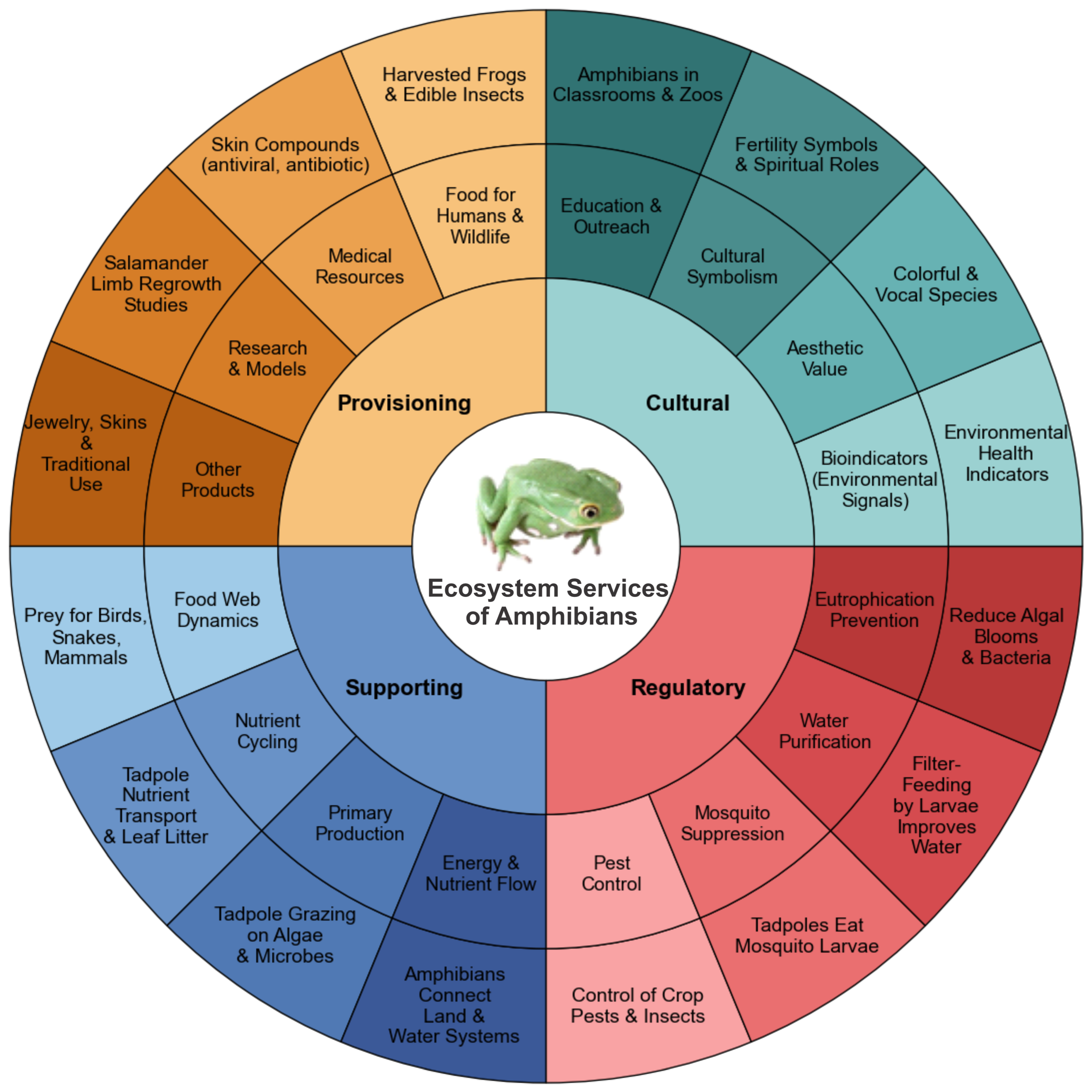 Biology 15 00098 g001