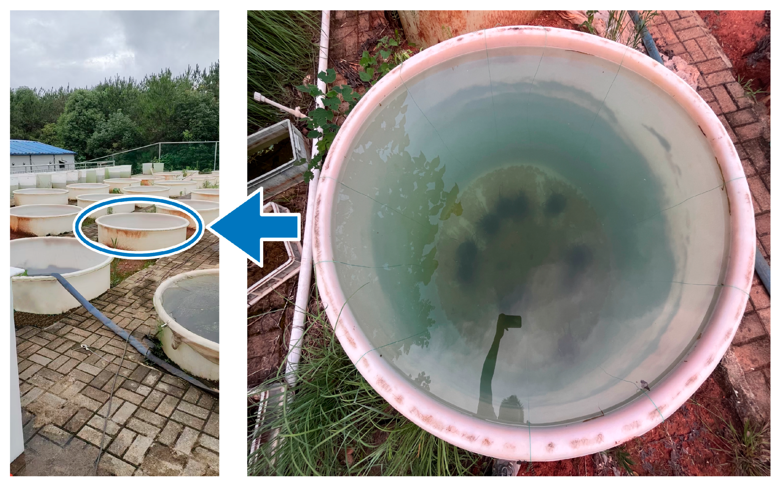 Biology 15 00102 g001