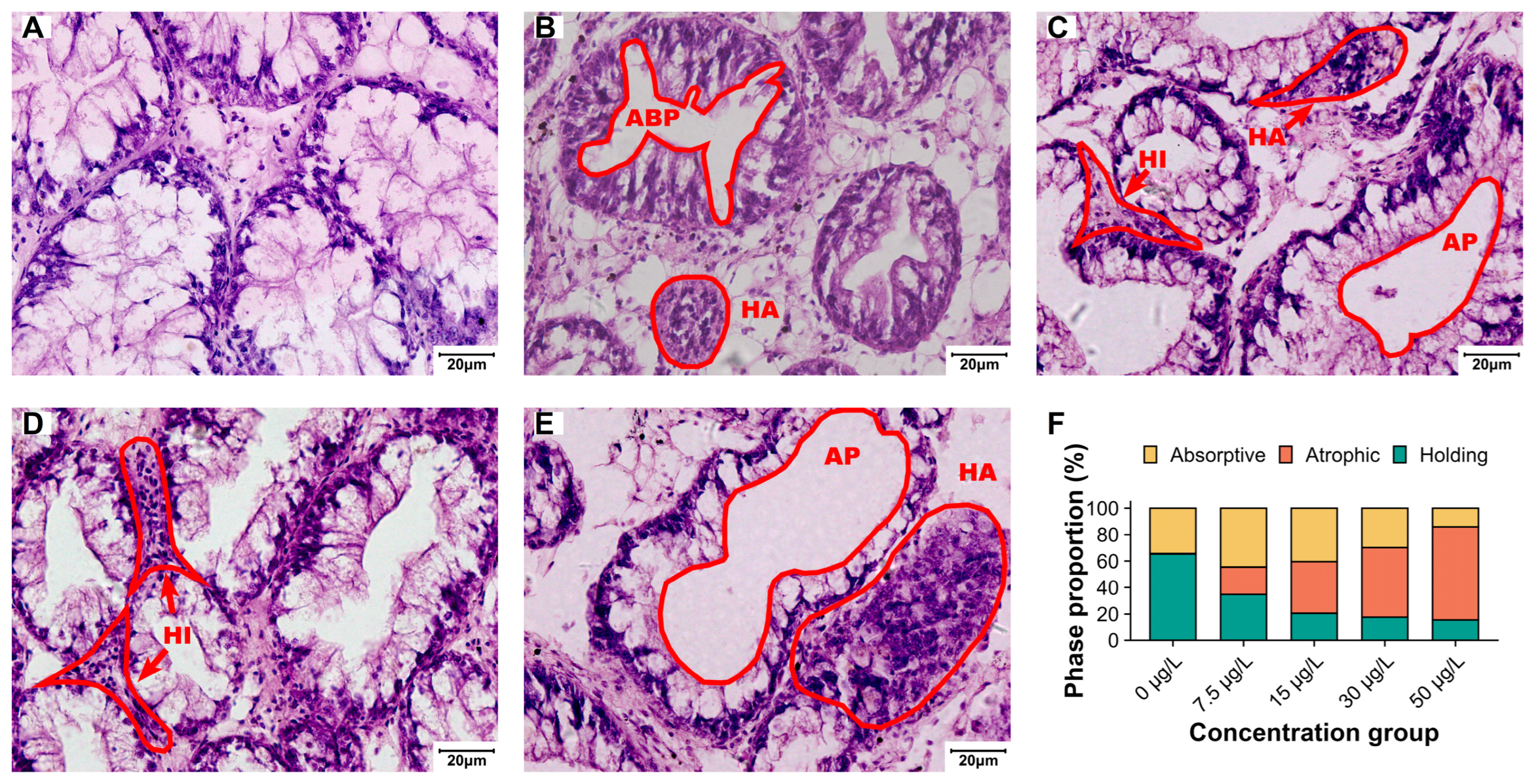 Biology 15 00102 g003
