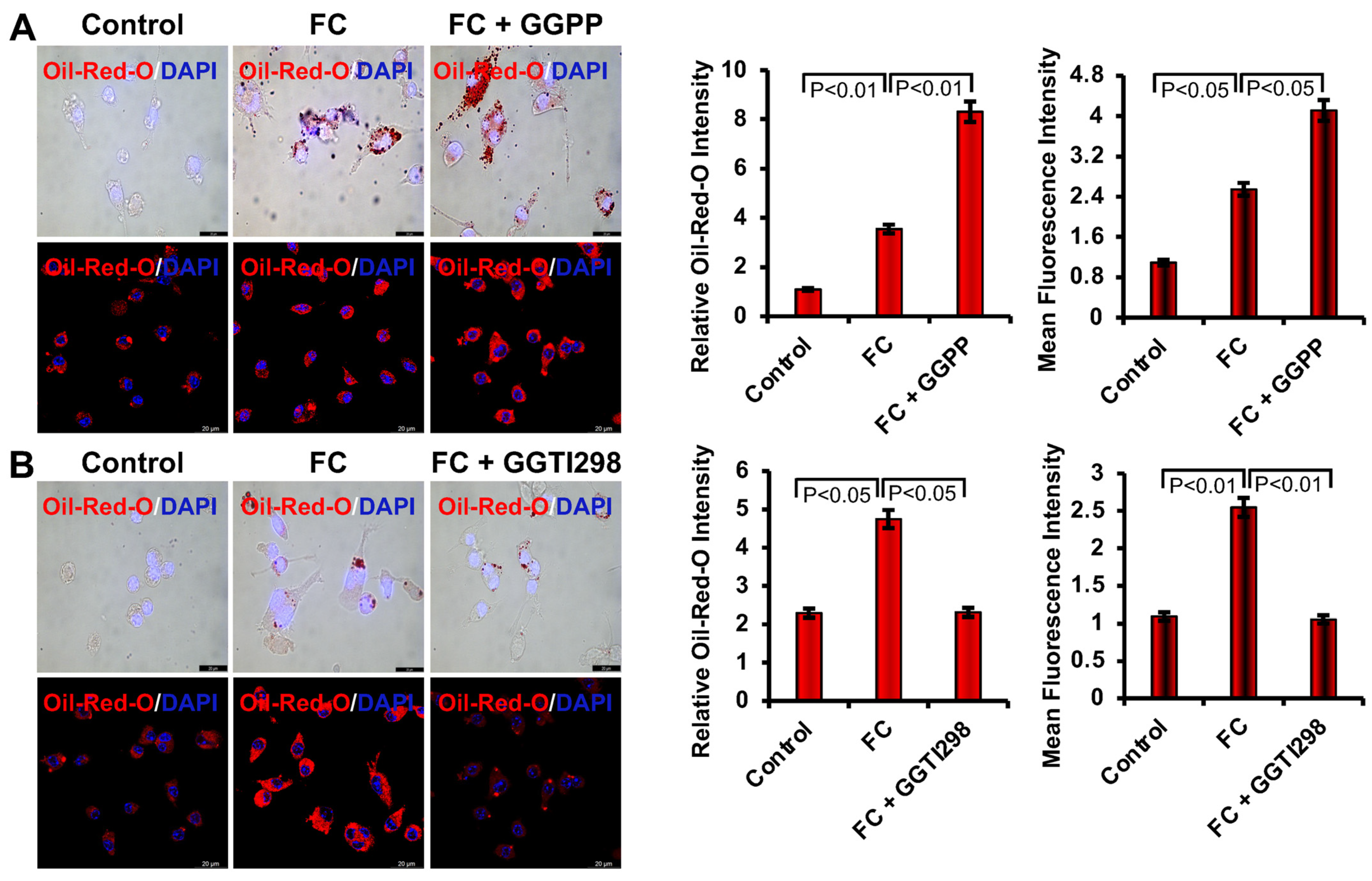 Biology 15 00111 g002
