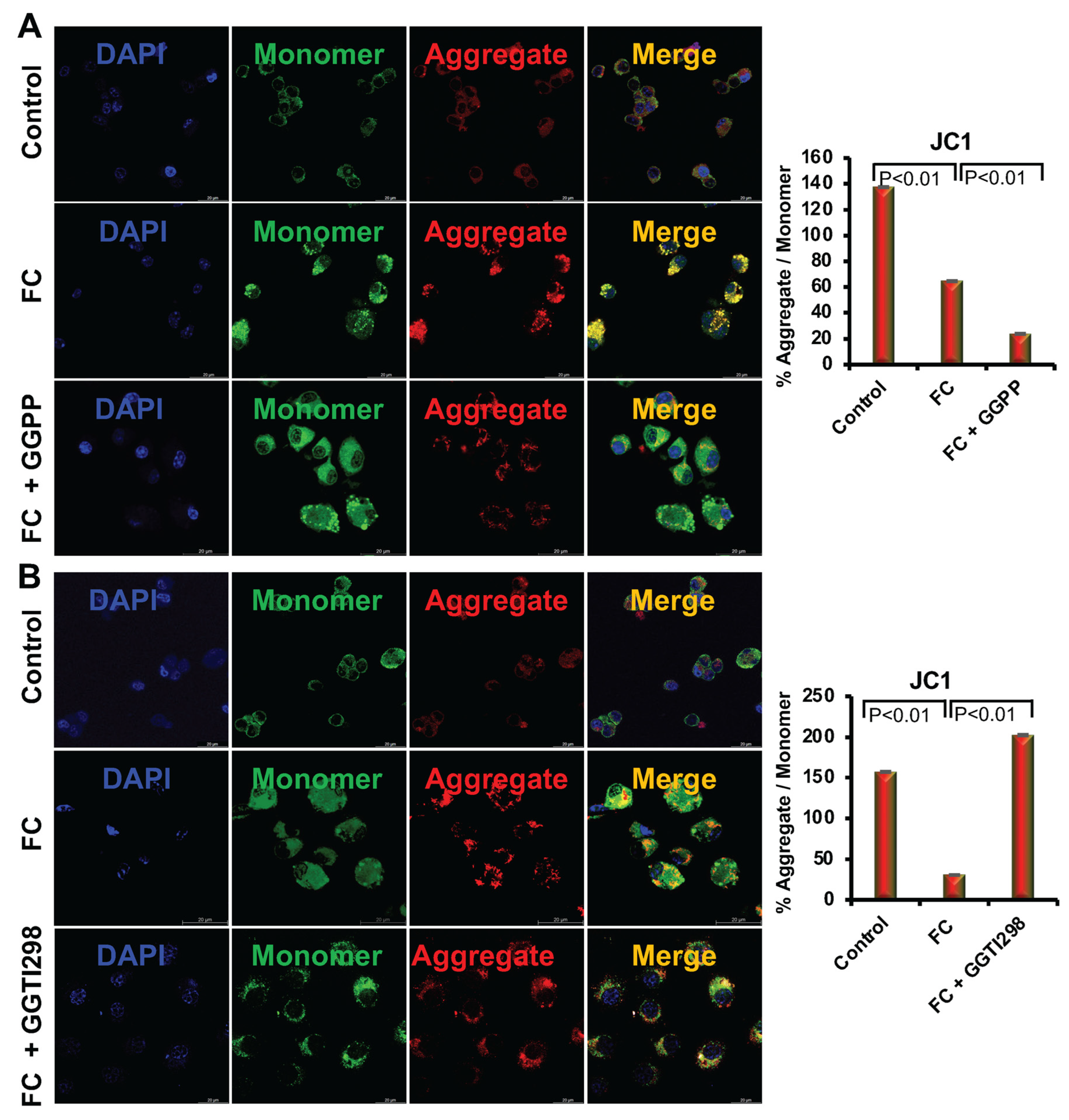 Biology 15 00111 g003