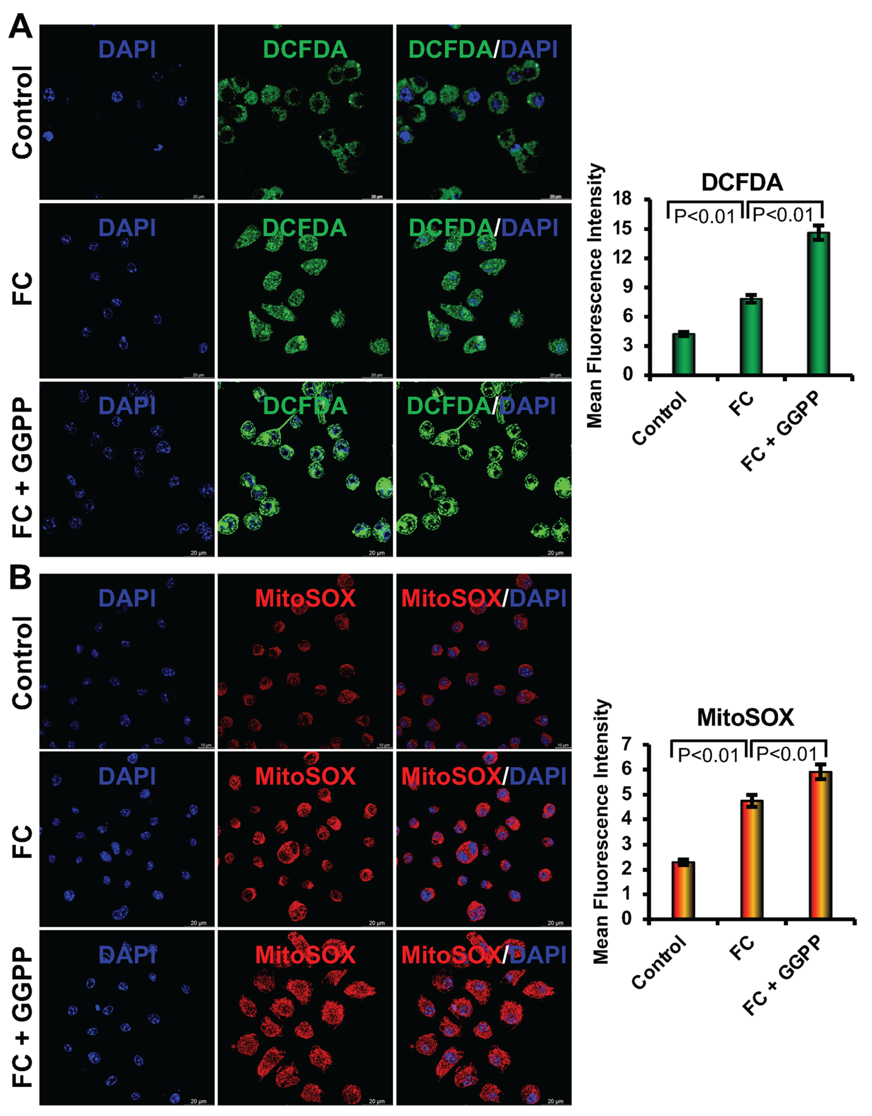 Biology 15 00111 g004