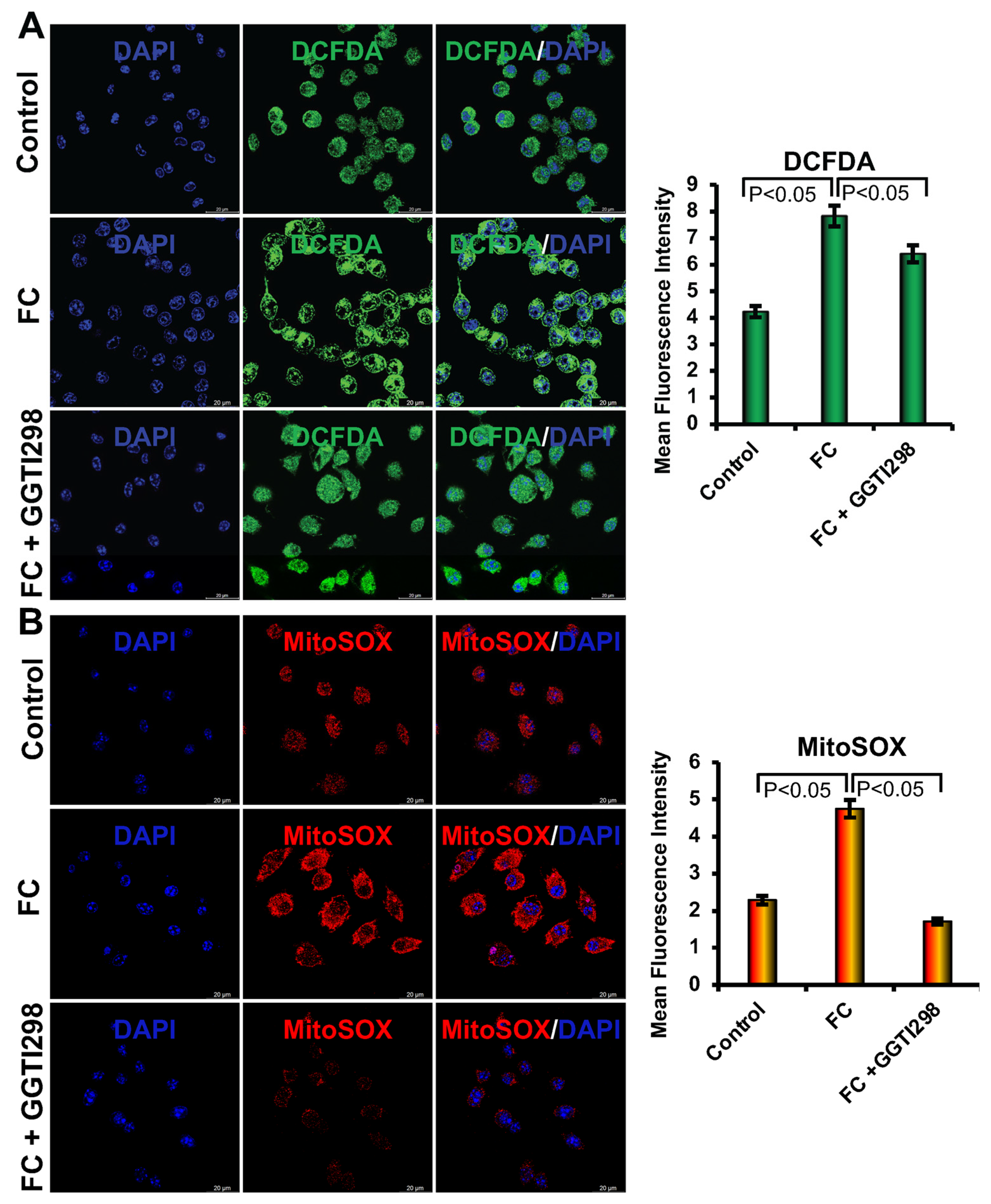 Biology 15 00111 g005