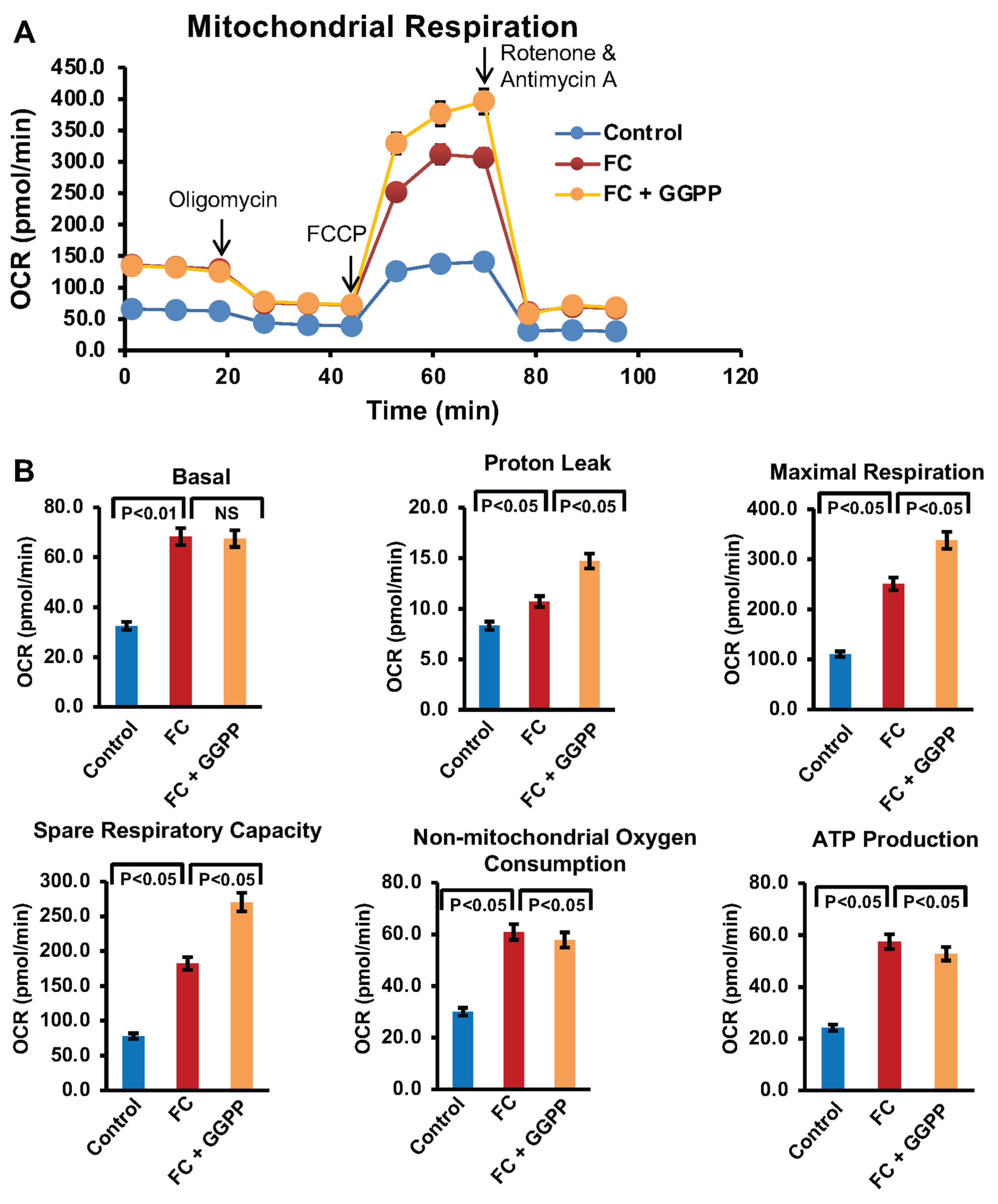 Biology 15 00111 g006