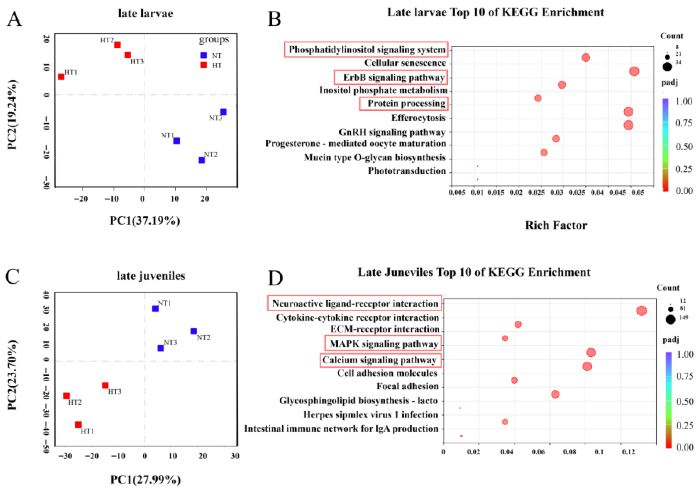 Biology 15 00113 g002