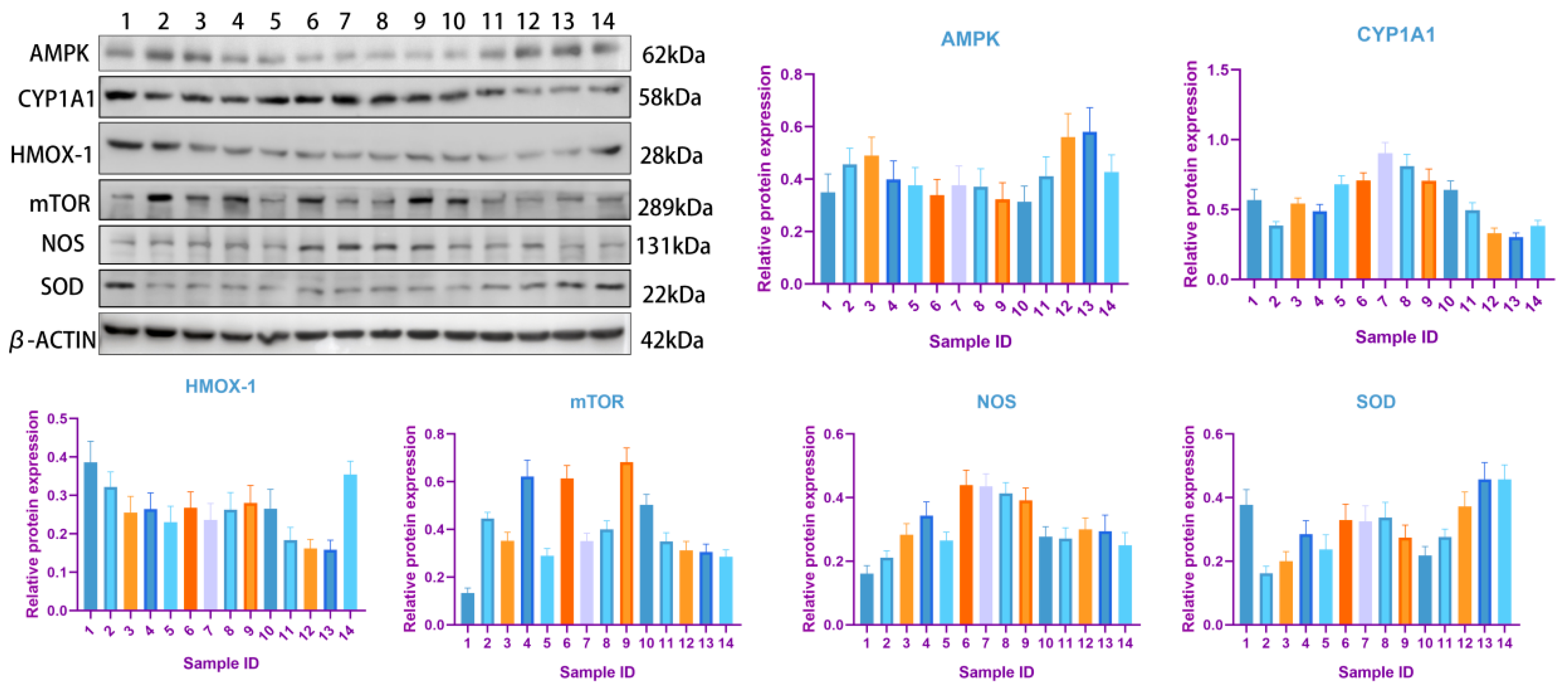 Biology 15 00115 g005