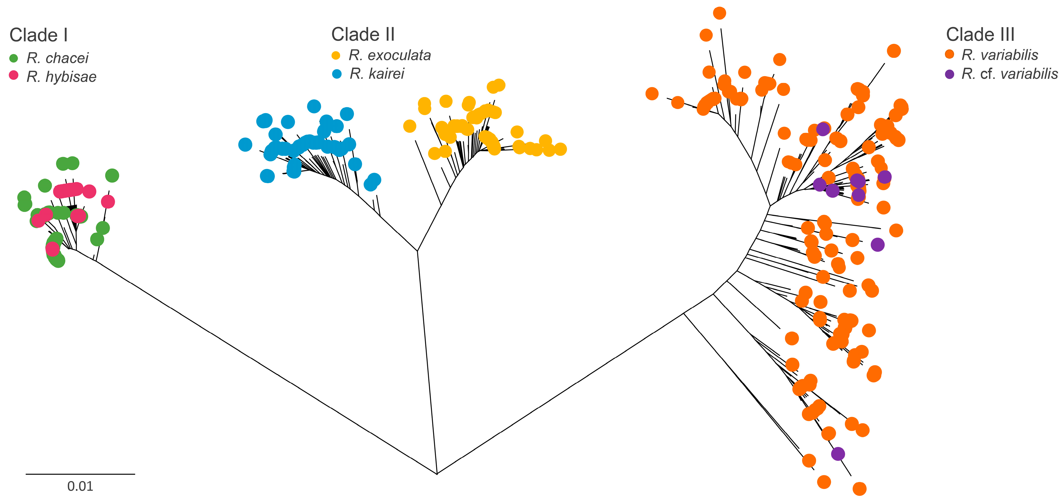 Biology 15 00120 g002