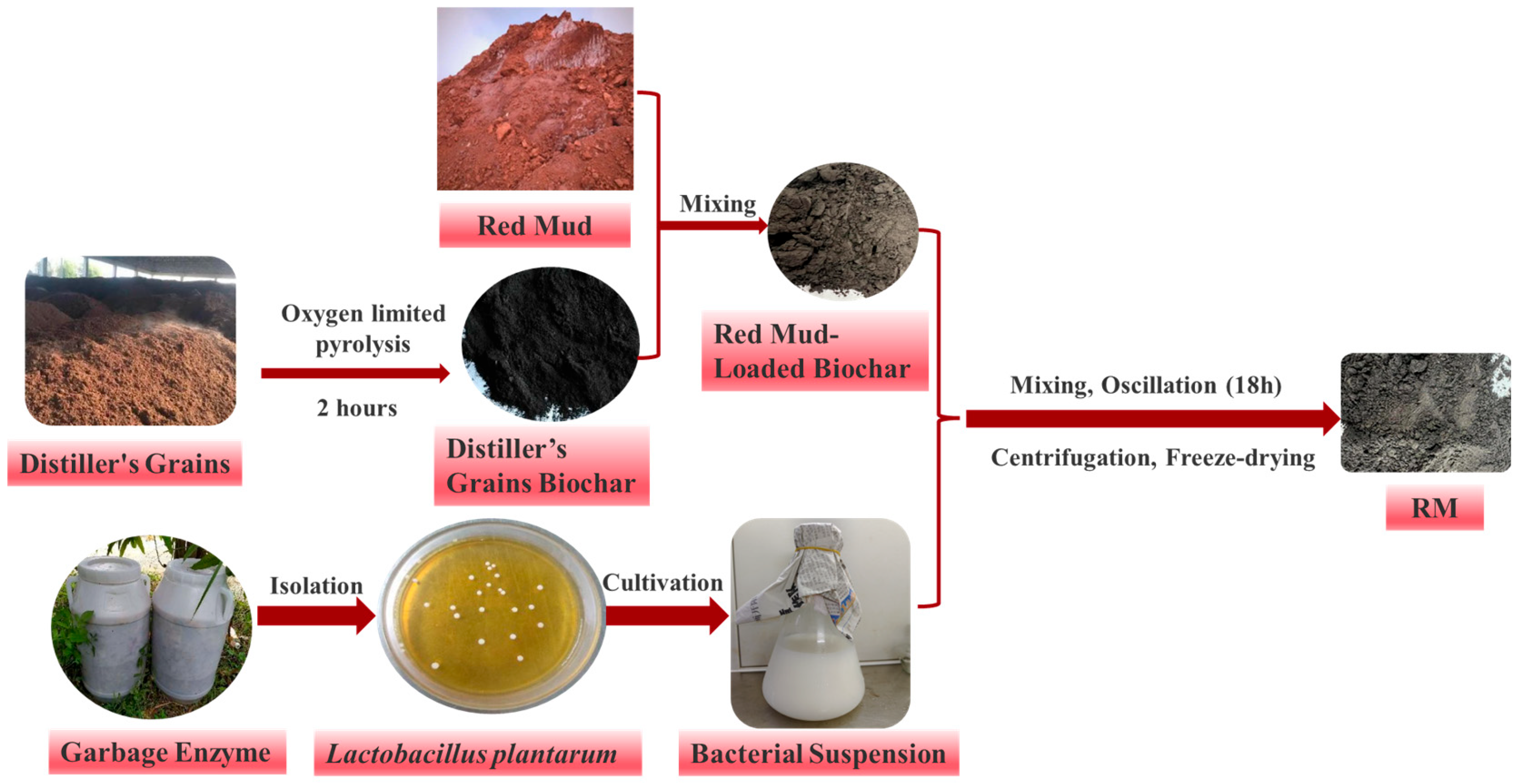 Biology 15 00153 g001