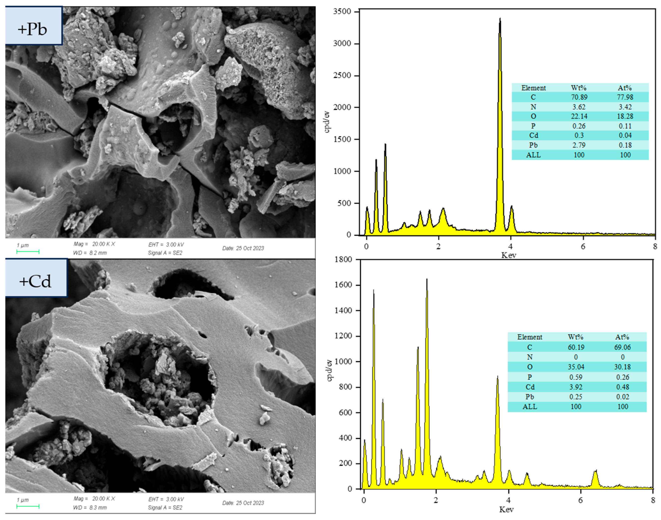 Biology 15 00153 g011