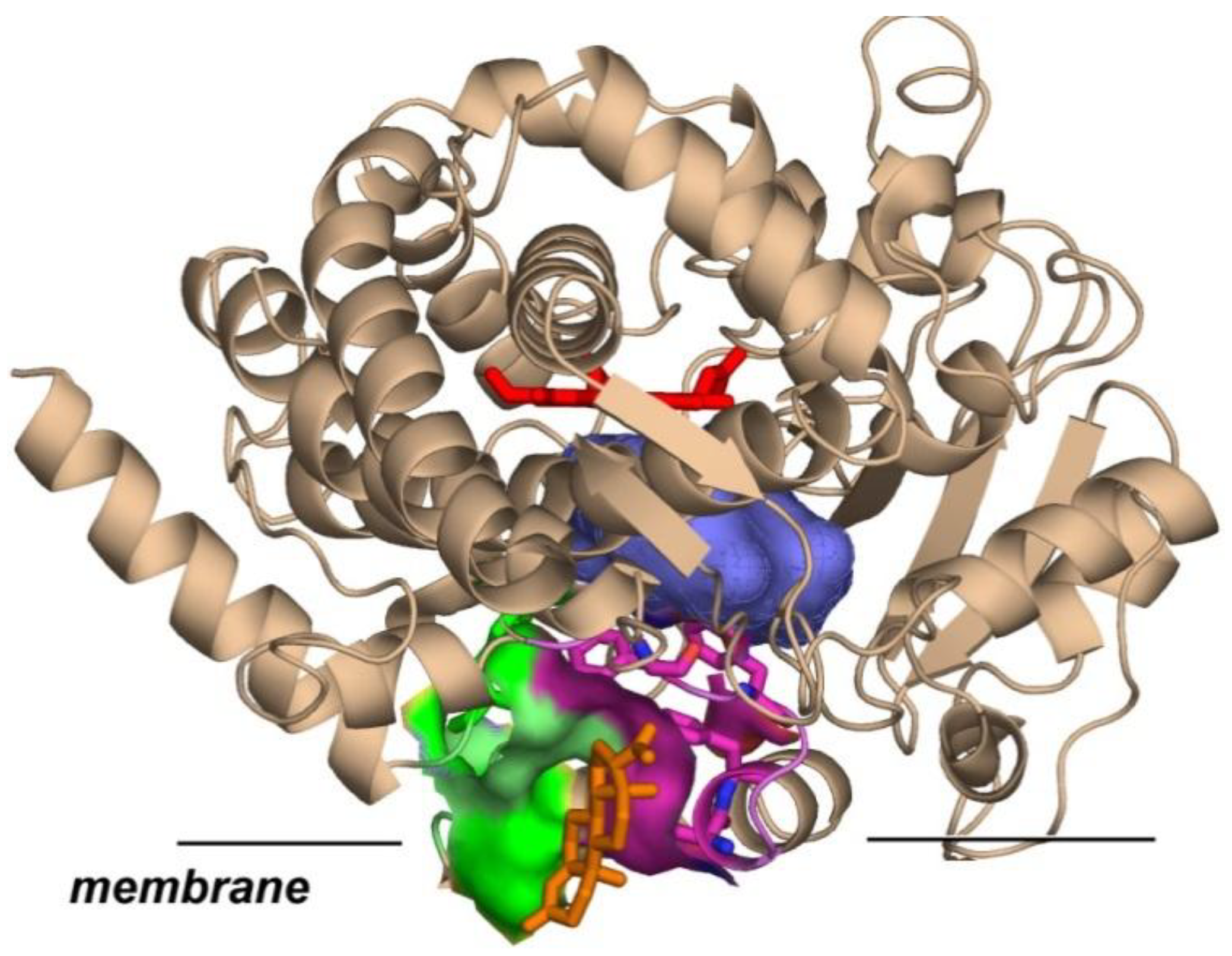 Biology 15 00156 g006