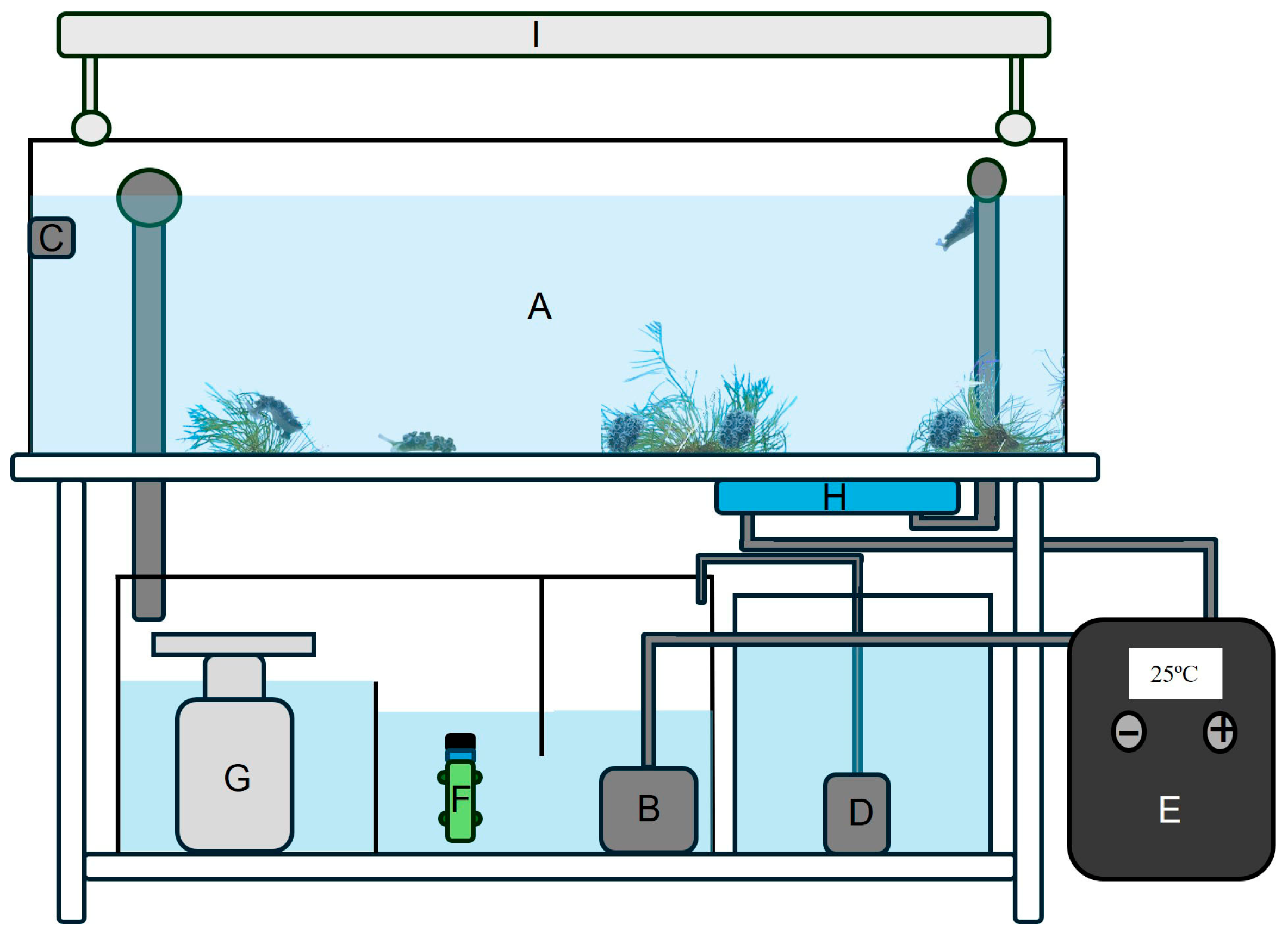 Biology 15 00168 g001