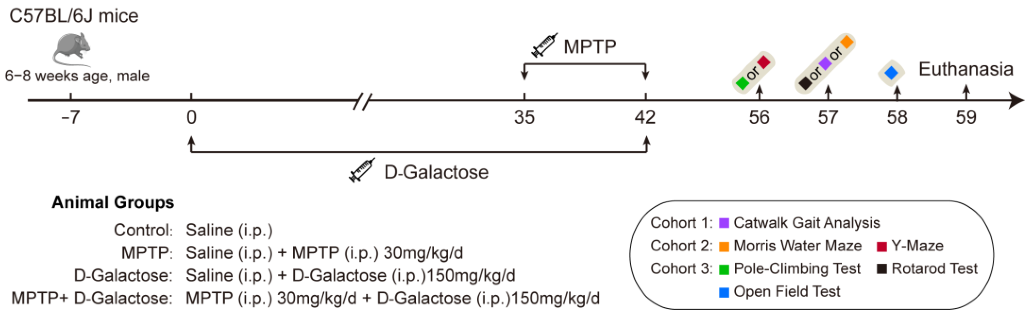 Biology 15 00169 g001