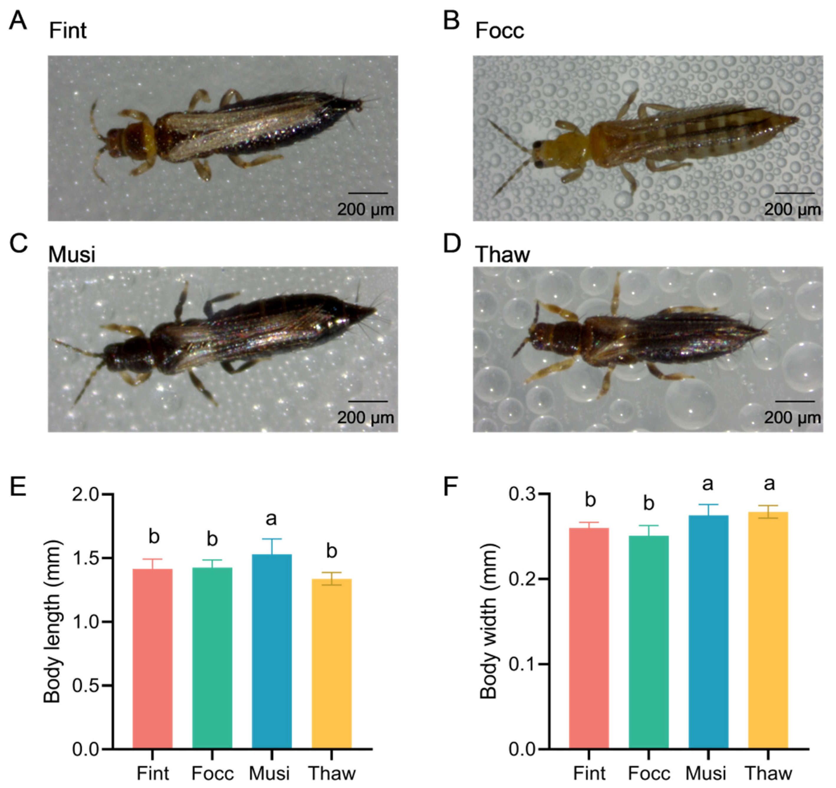 Biology 15 00171 g001