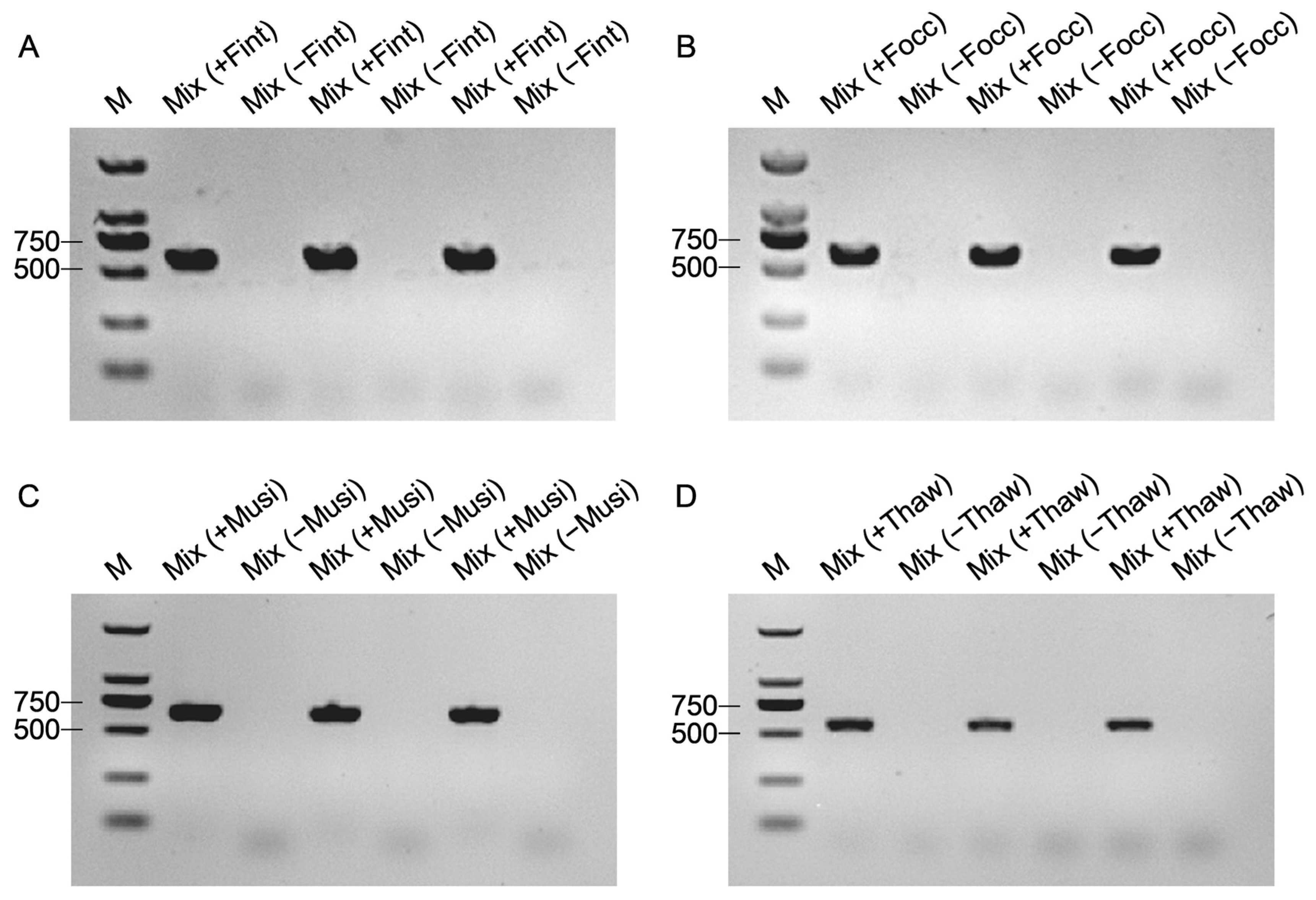 Biology 15 00171 g005