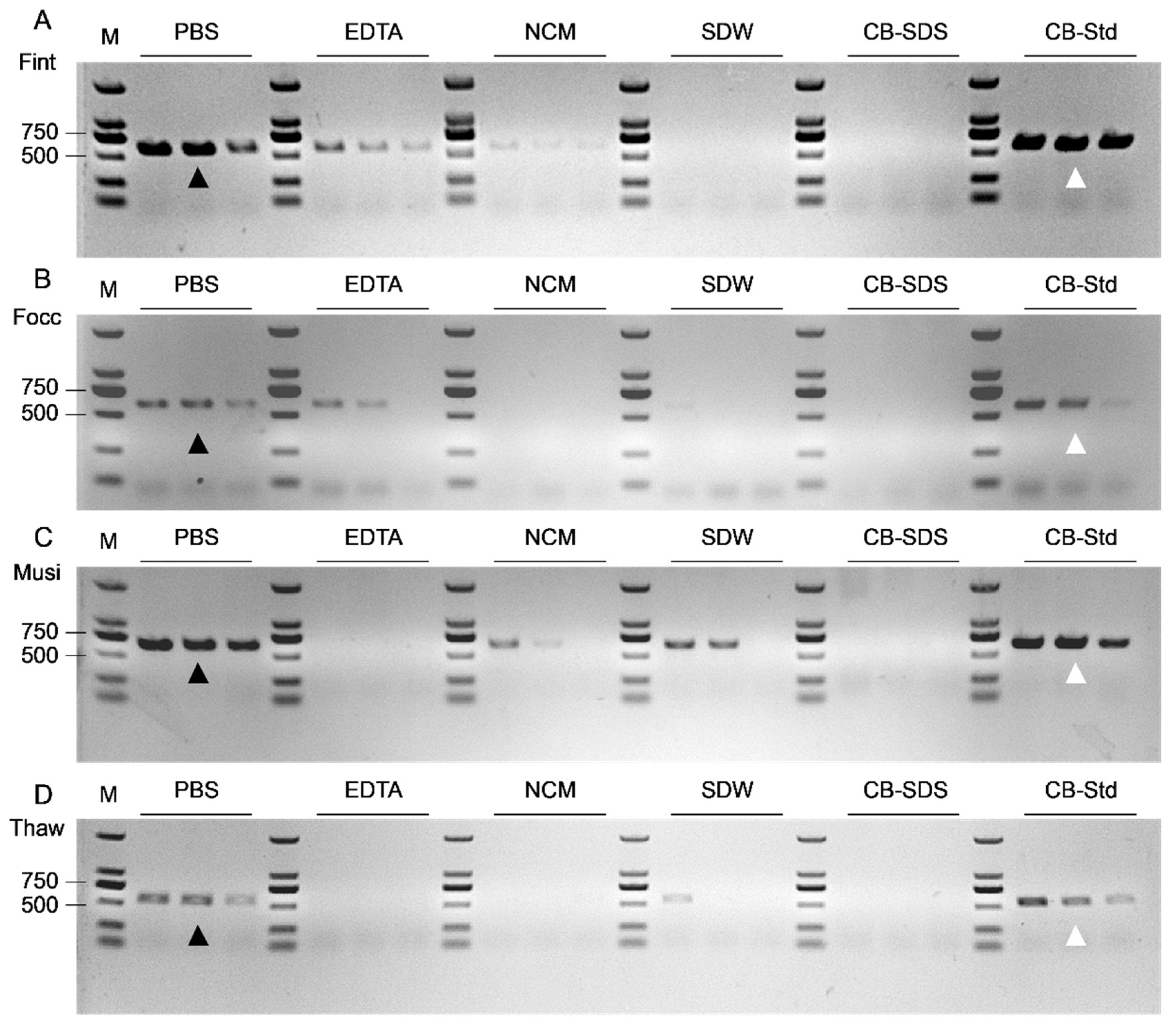 Biology 15 00171 g006