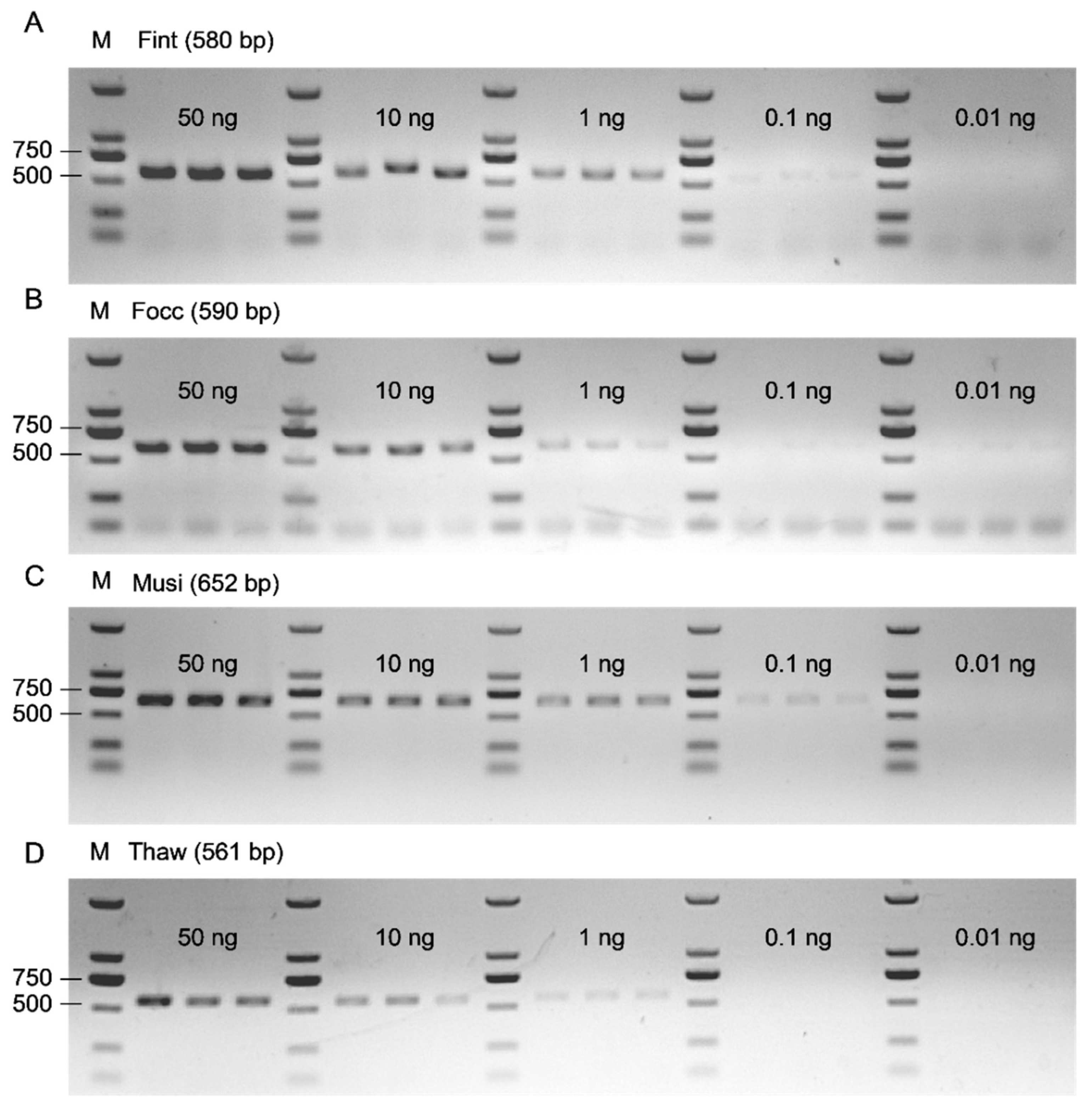 Biology 15 00171 g008