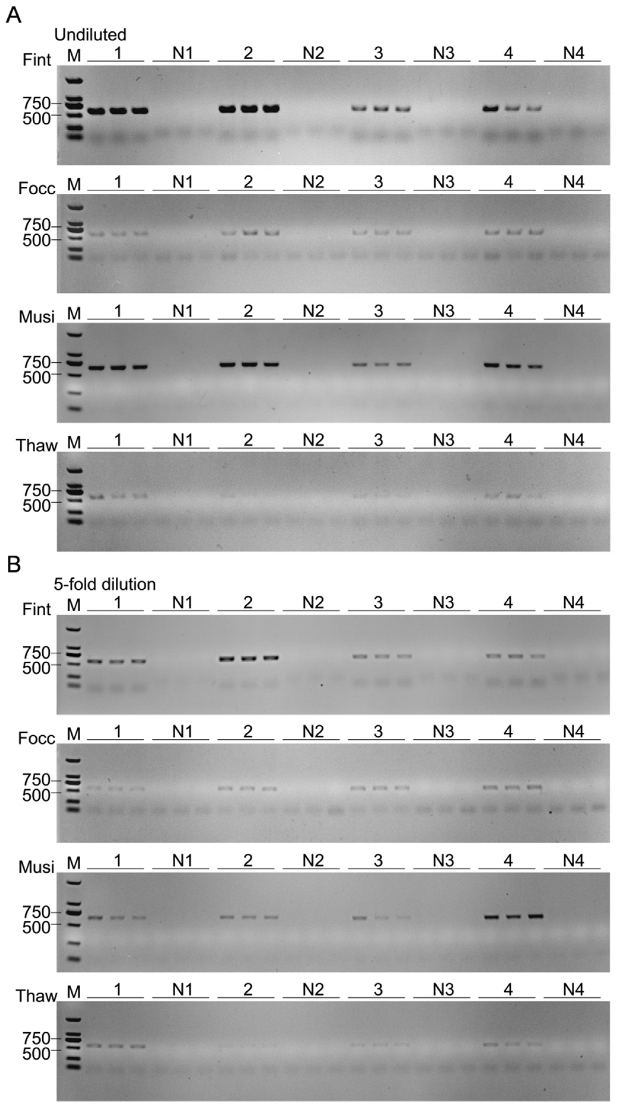 Biology 15 00171 g010