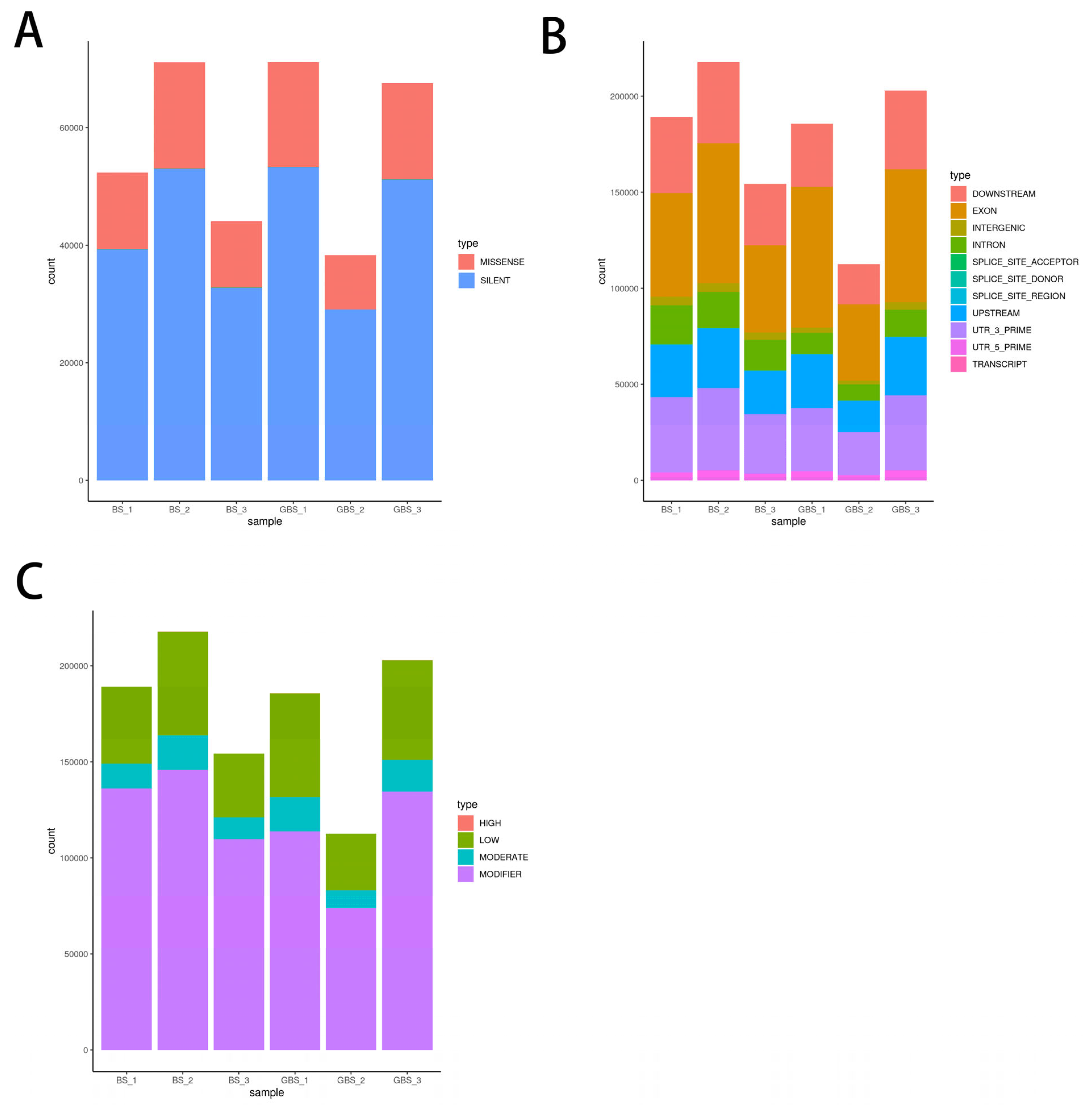 Biology 15 00188 g001