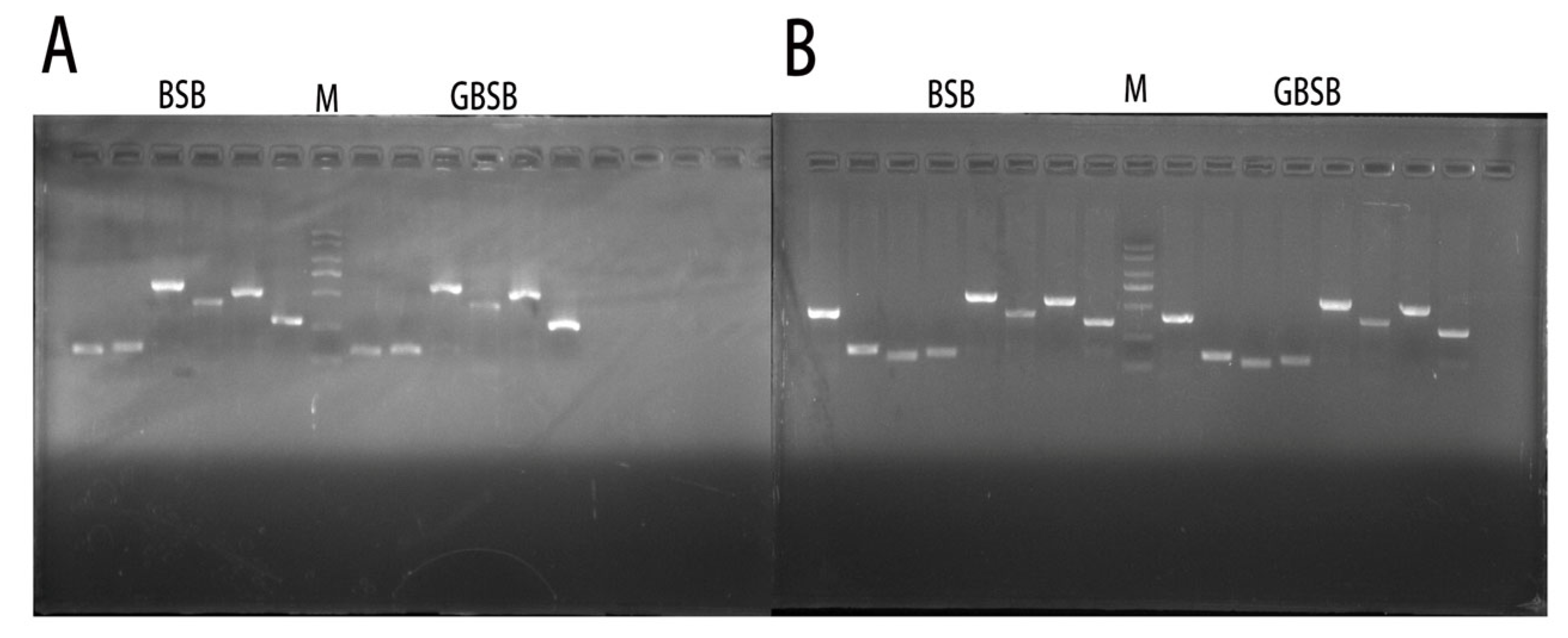 Biology 15 00188 g003
