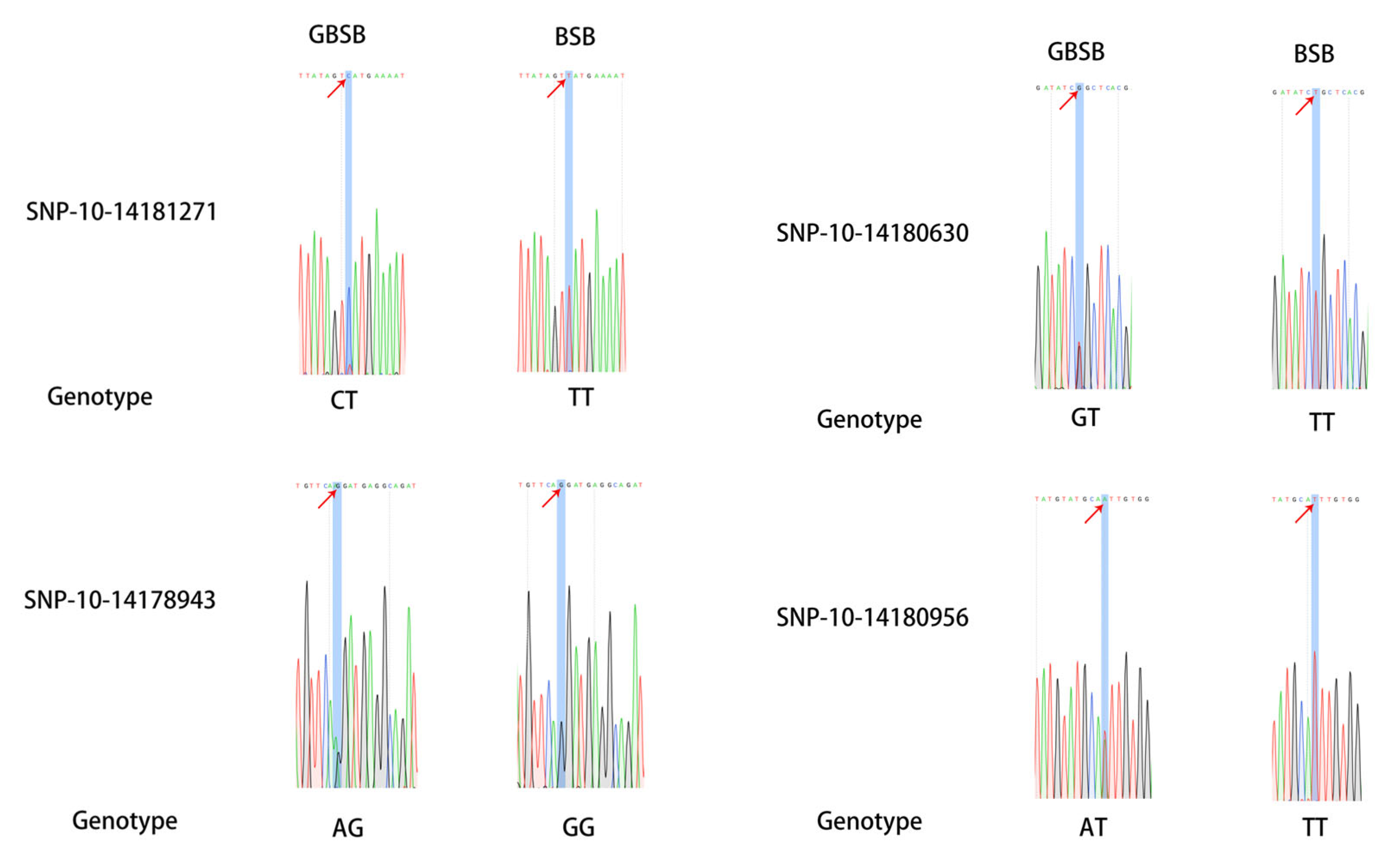 Biology 15 00188 g004