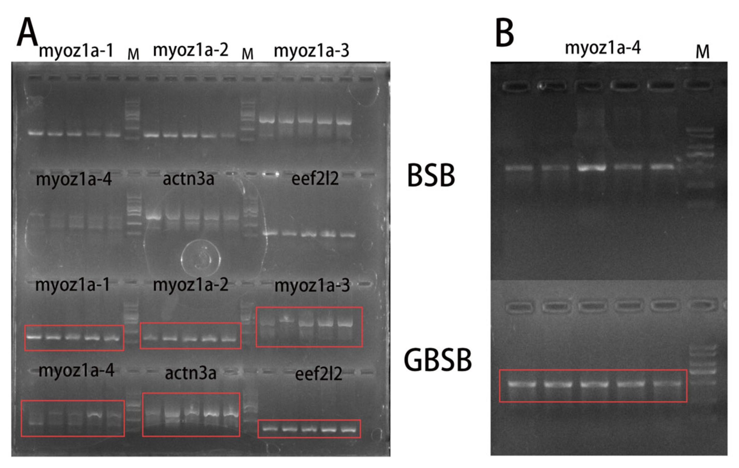 Biology 15 00188 g006