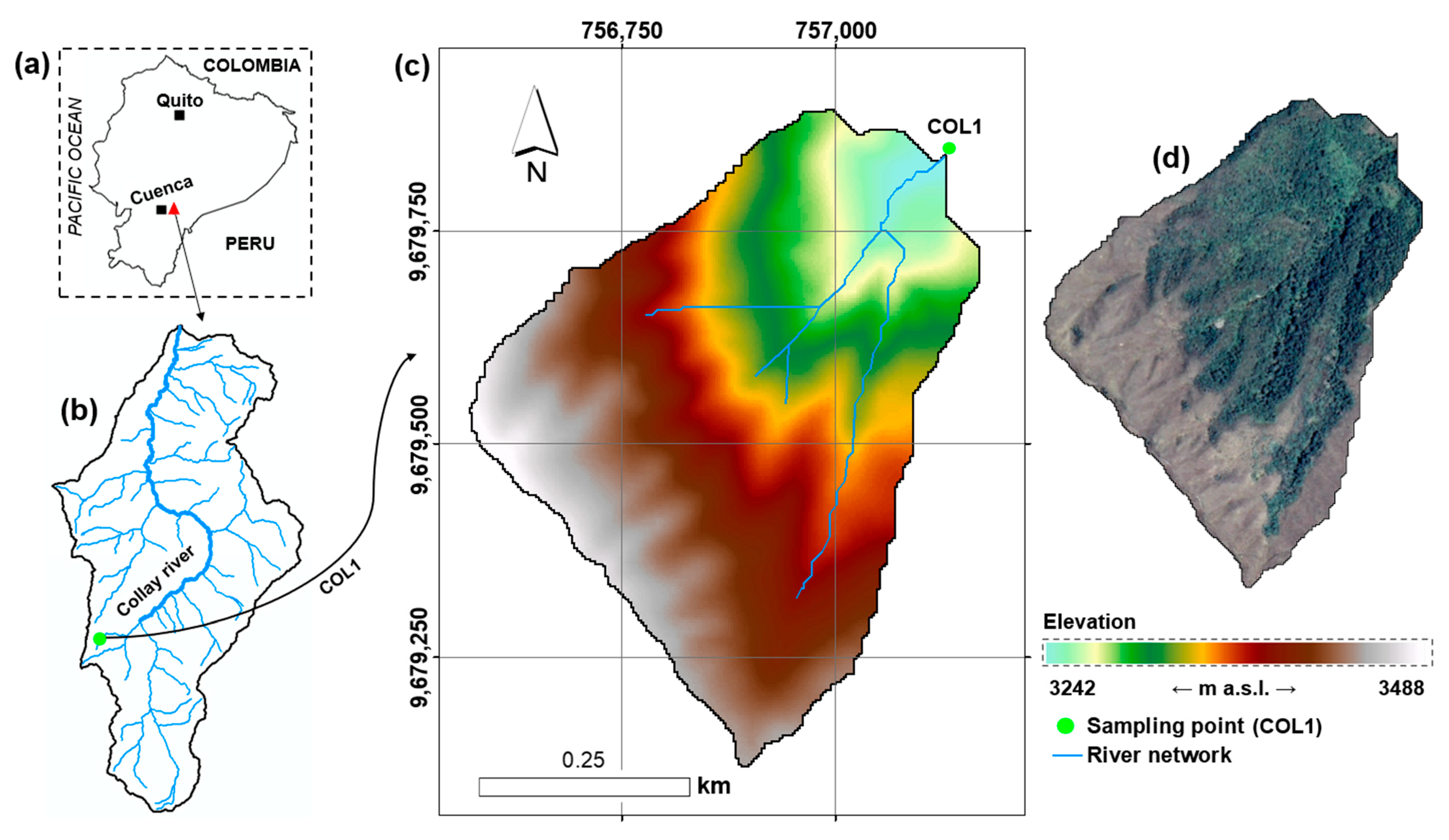 Biology 15 00257 g001 Biology 15 00257 g001