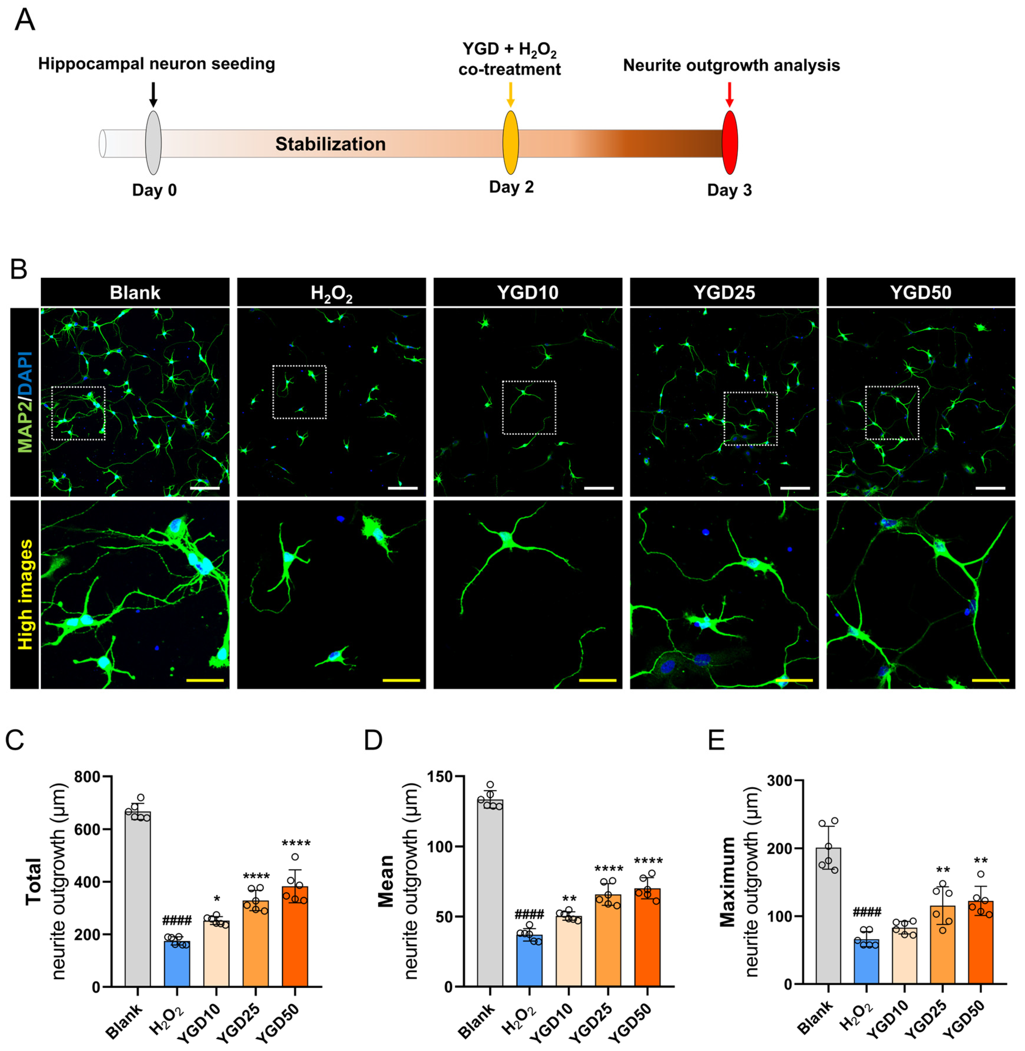 Biology 15 00294 g002